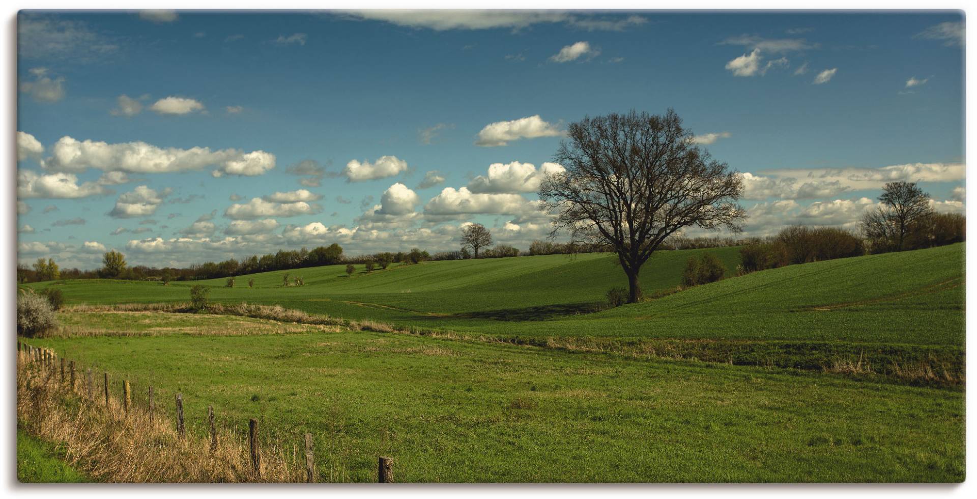 Artland Wandbild »Natur pur«, Felder, (1 St.) von Artland