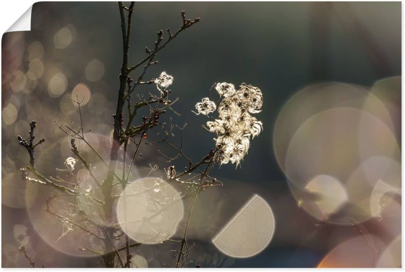 Artland Wandbild »Naturromantik«, Blumenbilder, (1 St.), als Leinwandbild, Poster in verschied. Grössen von Artland