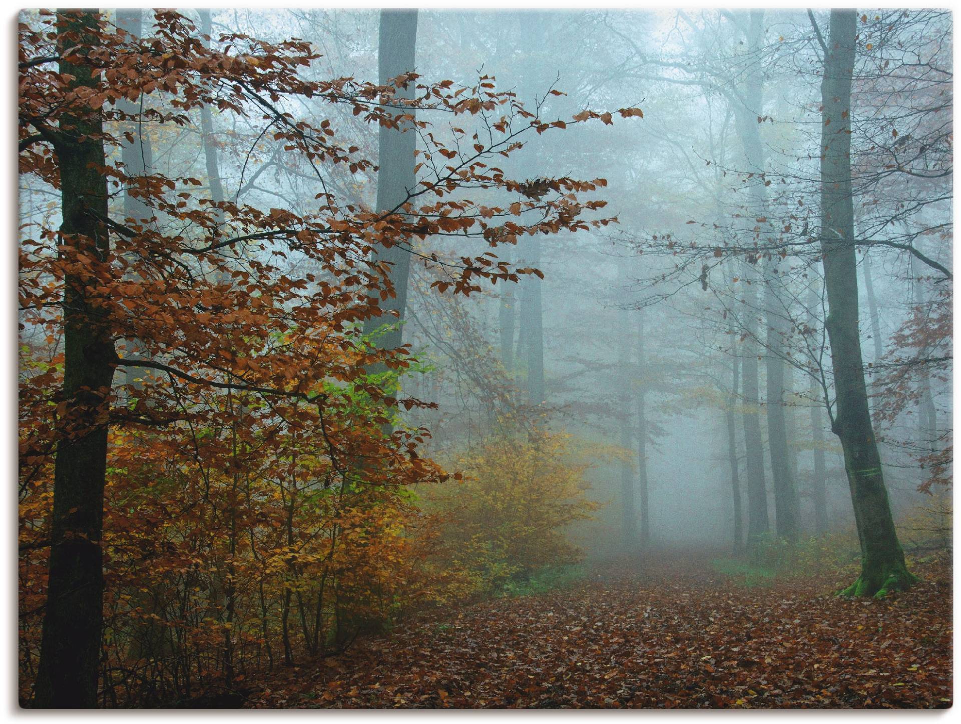 Artland Wandbild »Nebel im Herbstwald«, Wald, (1 St.) von Artland