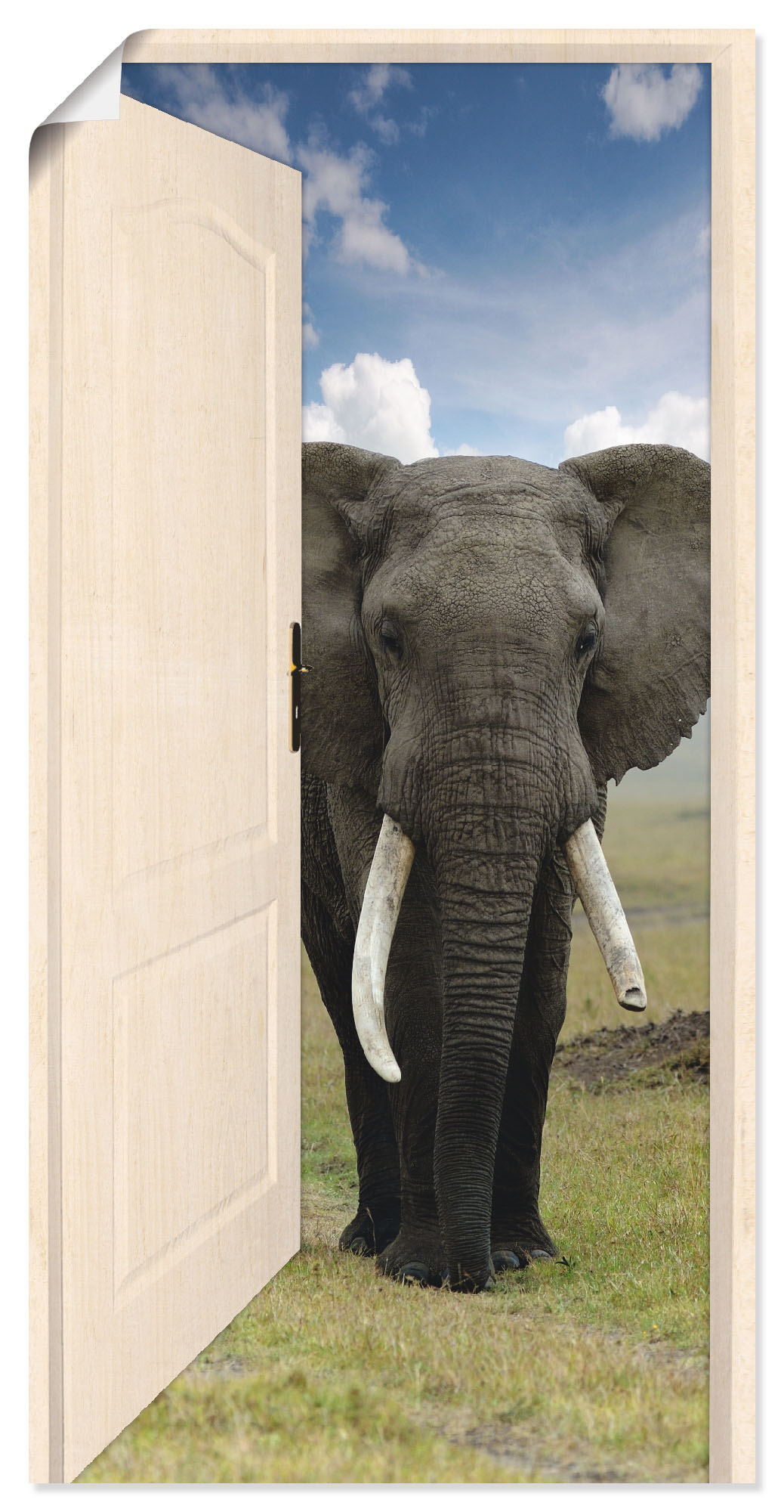 Artland Wandbild »Offene weisse Türe mit Blick auf Elefant«, Wildtiere, (1 St.) von Artland