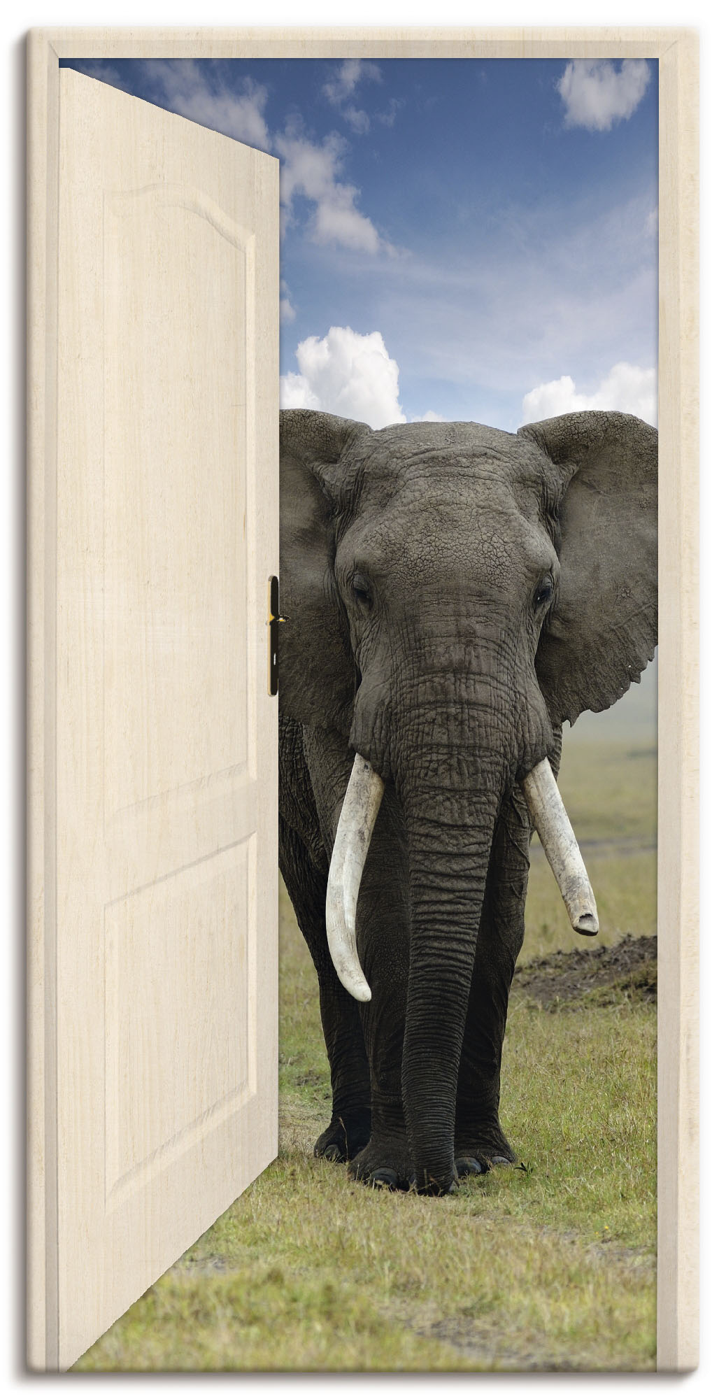 Artland Wandbild »Offene weisse Türe mit Blick auf Elefant«, Wildtiere, (1 St.) von Artland