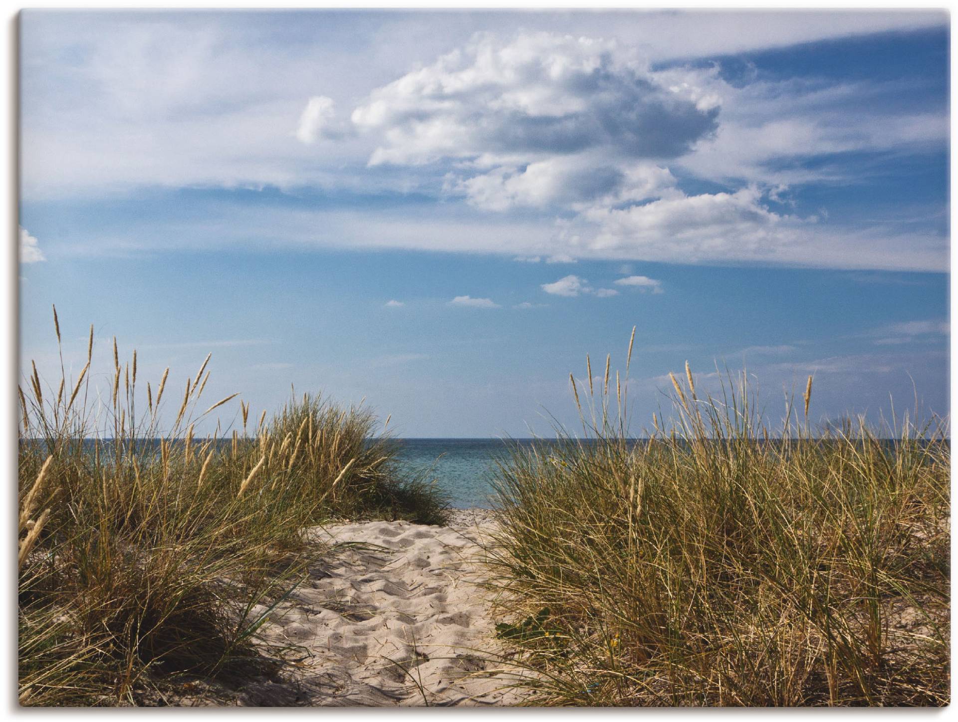 Artland Wandbild »Ostseestrand in Dänemark«, Strand, (1 St.) von Artland