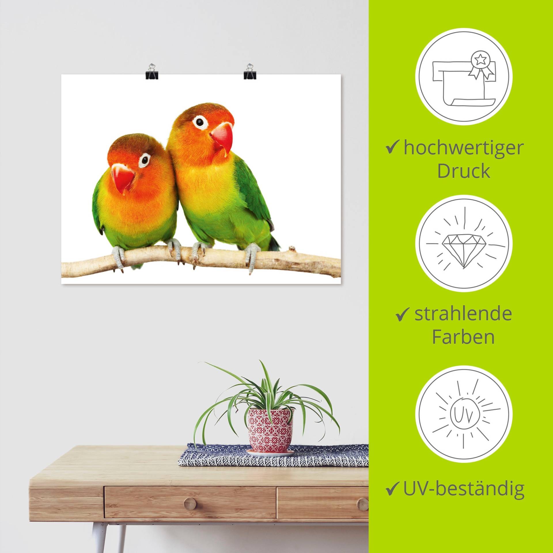 Artland Wandbild »Paar von Grauköpfchen - Papageien«, Vögel, (1 St.) von Artland