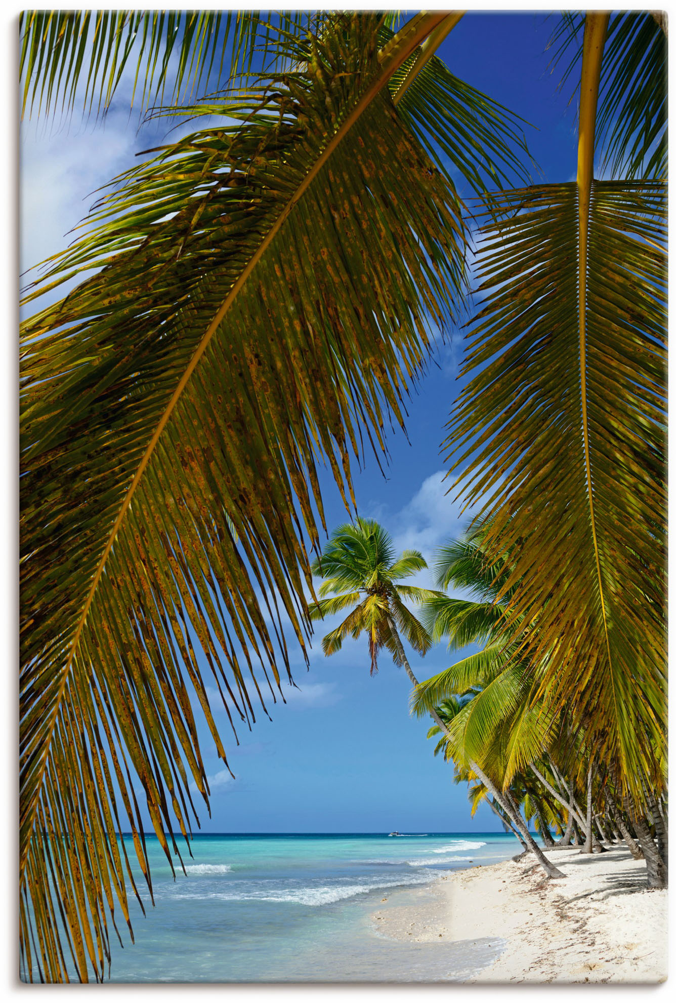 Artland Leinwandbild »Palmenstrand, Insel Isla Saona«, Karibikbilder, (1 St.), auf Keilrahmen gespannt von Artland