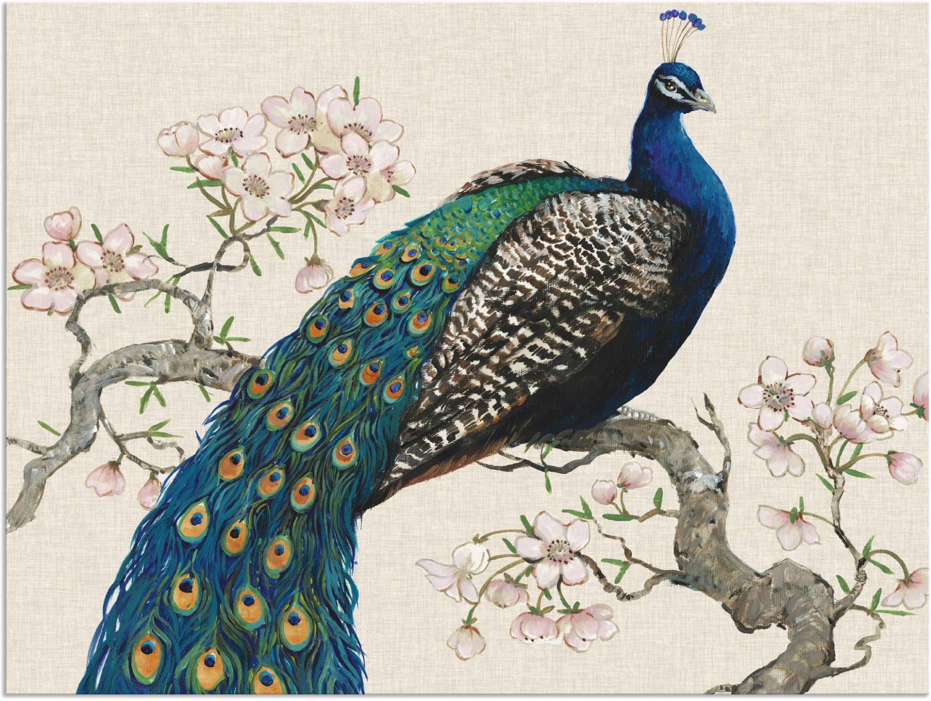 Artland Wandbild »Pfau & Blüten I«, Vögel, (1 St.), als Alubild, Outdoorbild, Leinwandbild, Poster, Wandaufkleber Artland Wandbild »Pfau & Blüten I«, Vögel, (1 St.), als Alubild, Outdoorbild, Leinwandbild, Poster, Wandaufkleber von Artland