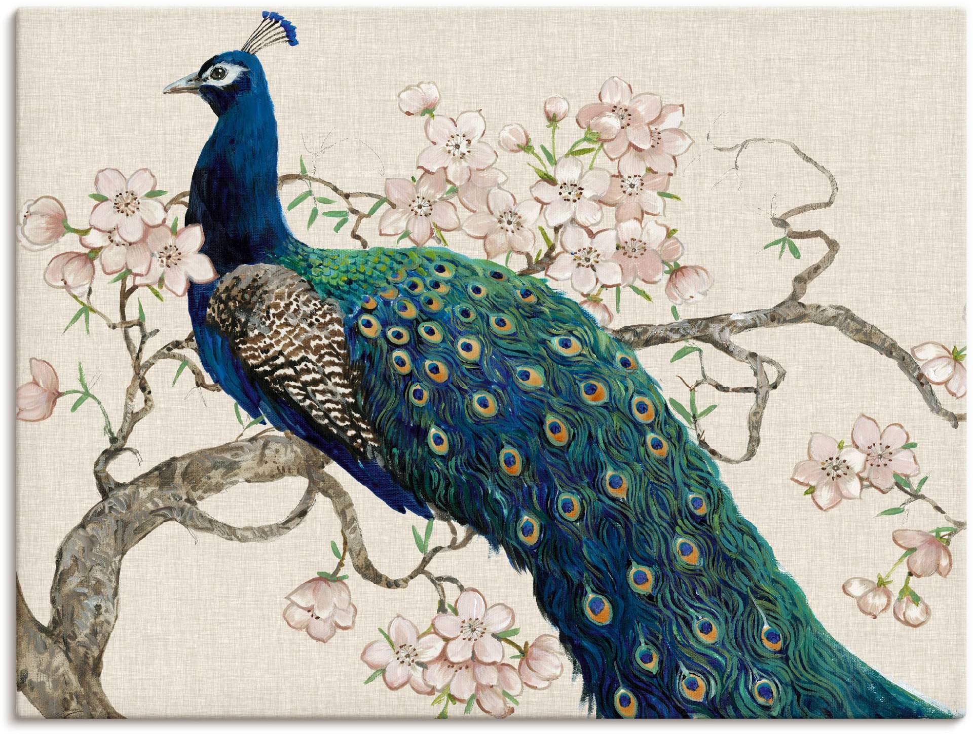 Artland Wandbild »Pfau & Blüten II«, Vögel, (1 St.) von Artland