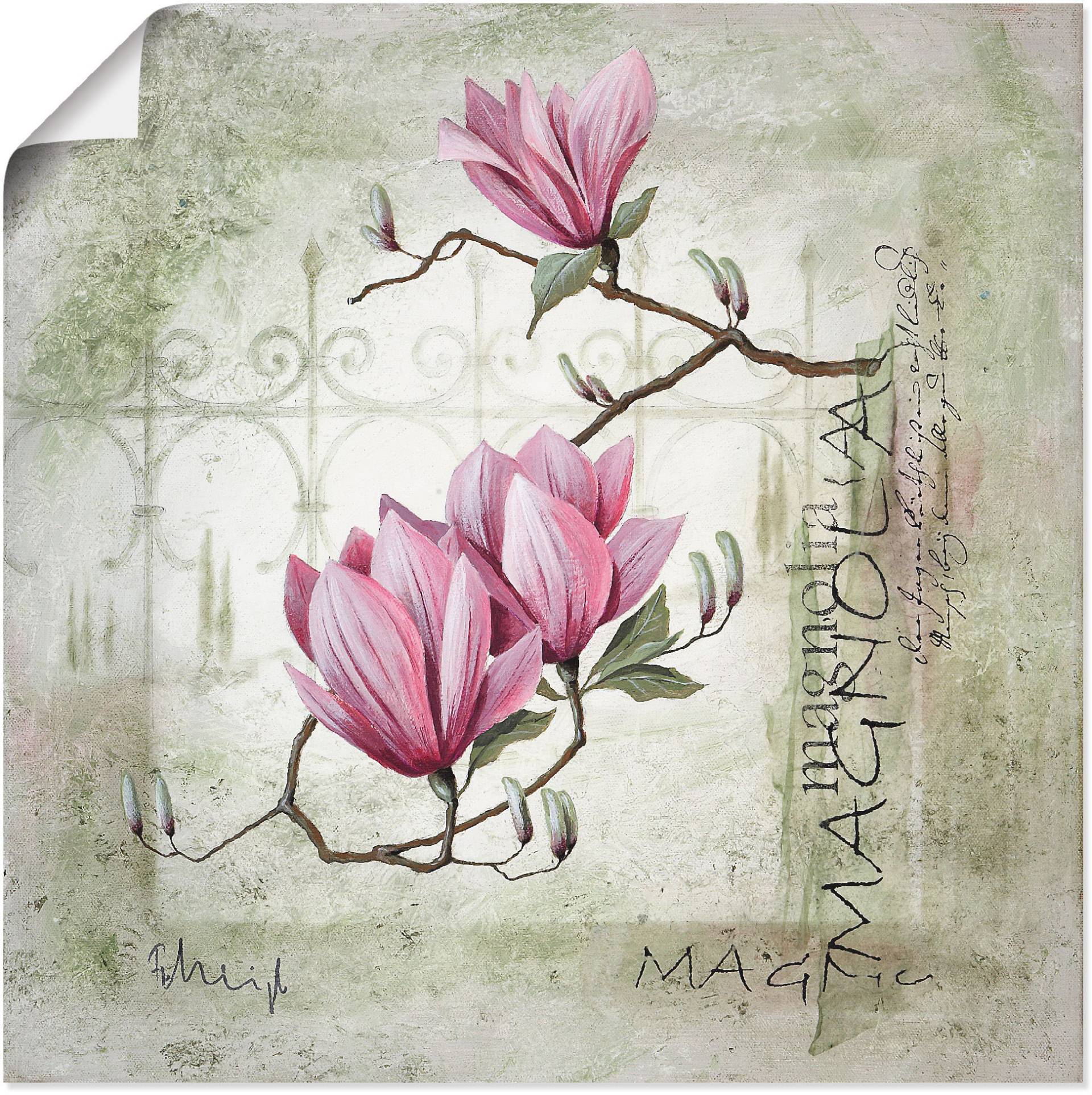 Artland Wandbild »Pinke Magnolie«, Blumen, (1 St.) von Artland