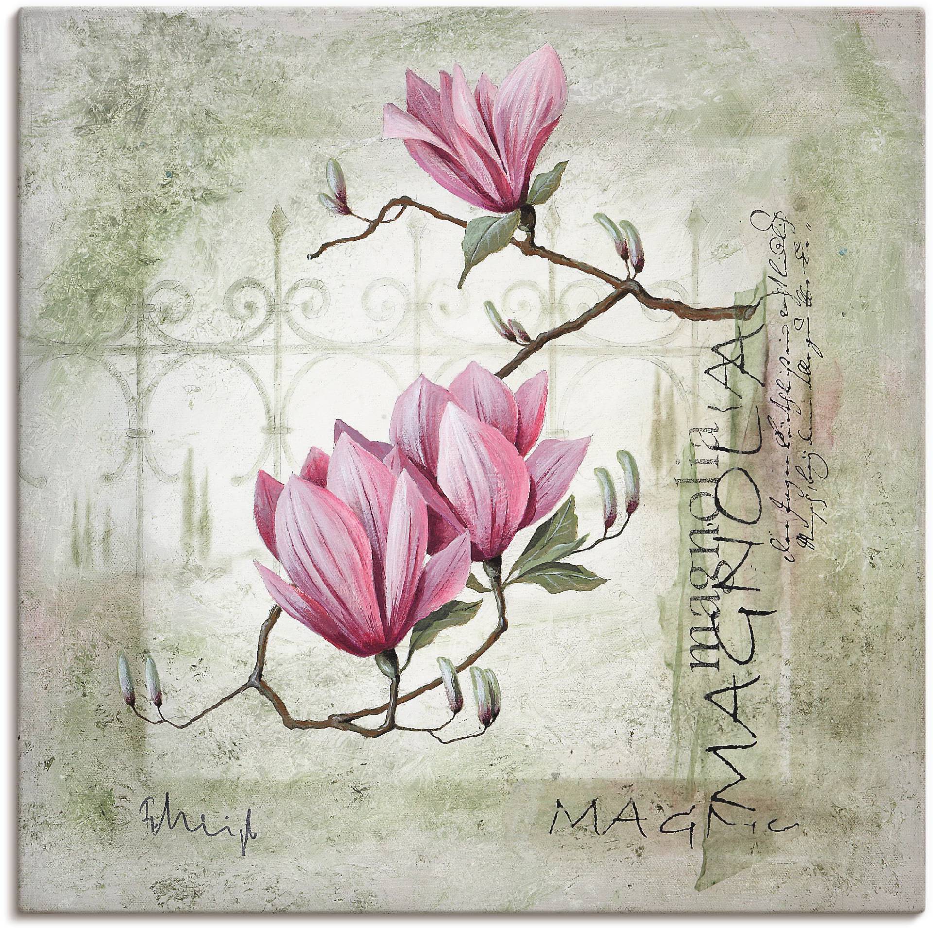 Artland Wandbild »Pinke Magnolie«, Blumen, (1 St.) von Artland