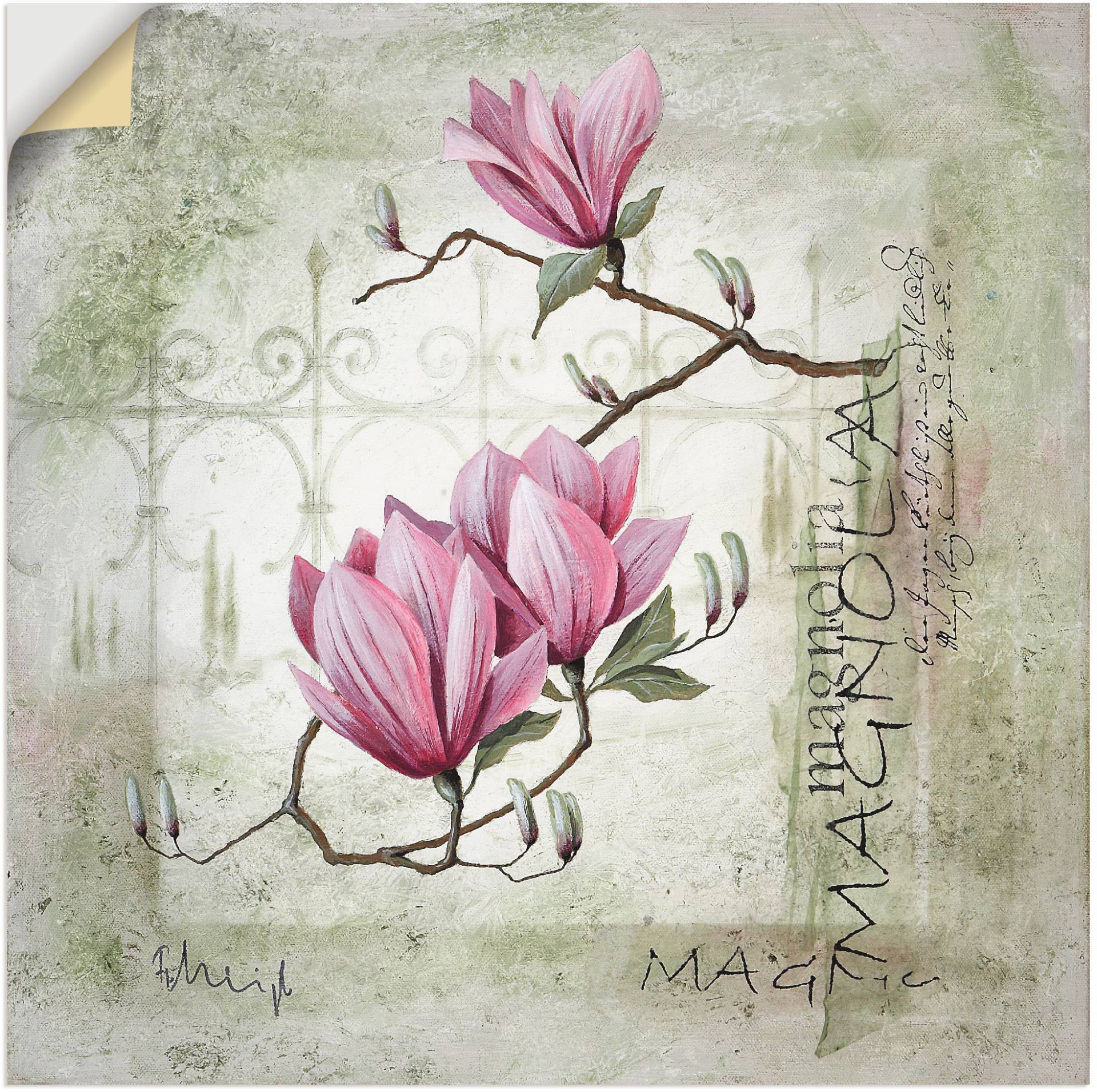 Artland Wandbild »Pinke Magnolie«, Blumen, (1 St.) von Artland