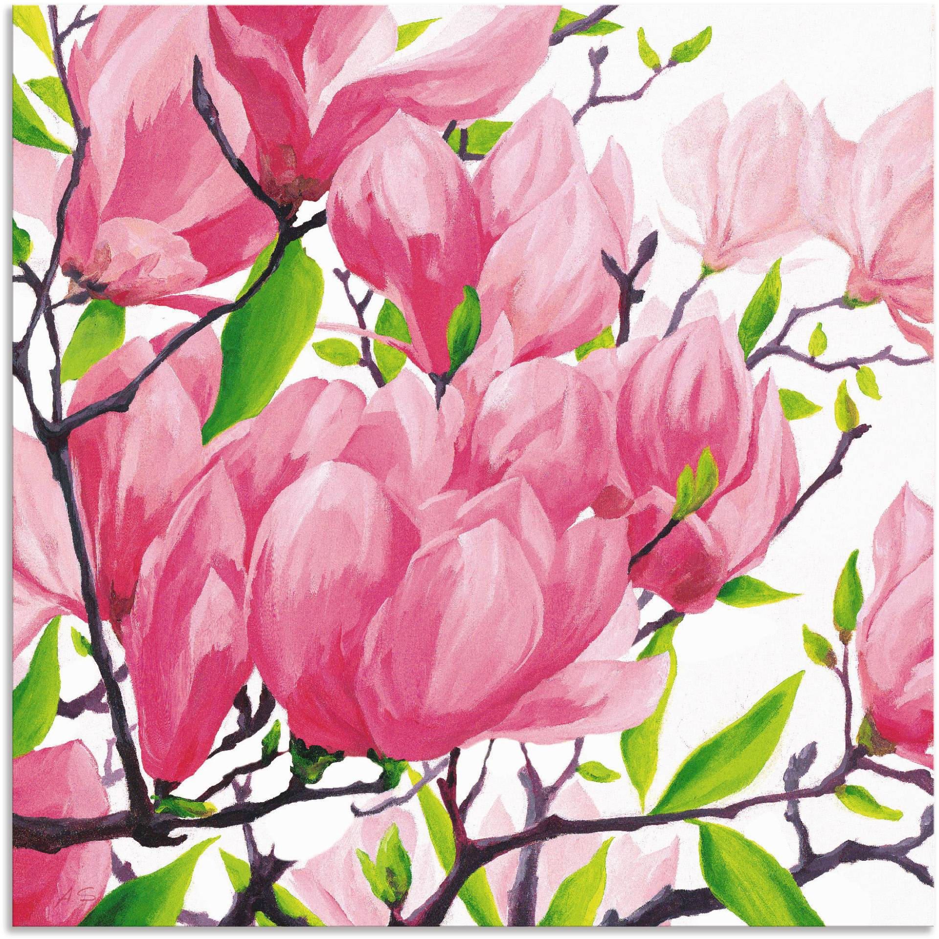 Artland Wandbild »Pinke Magnolien«, Blumen, (1 St.) von Artland