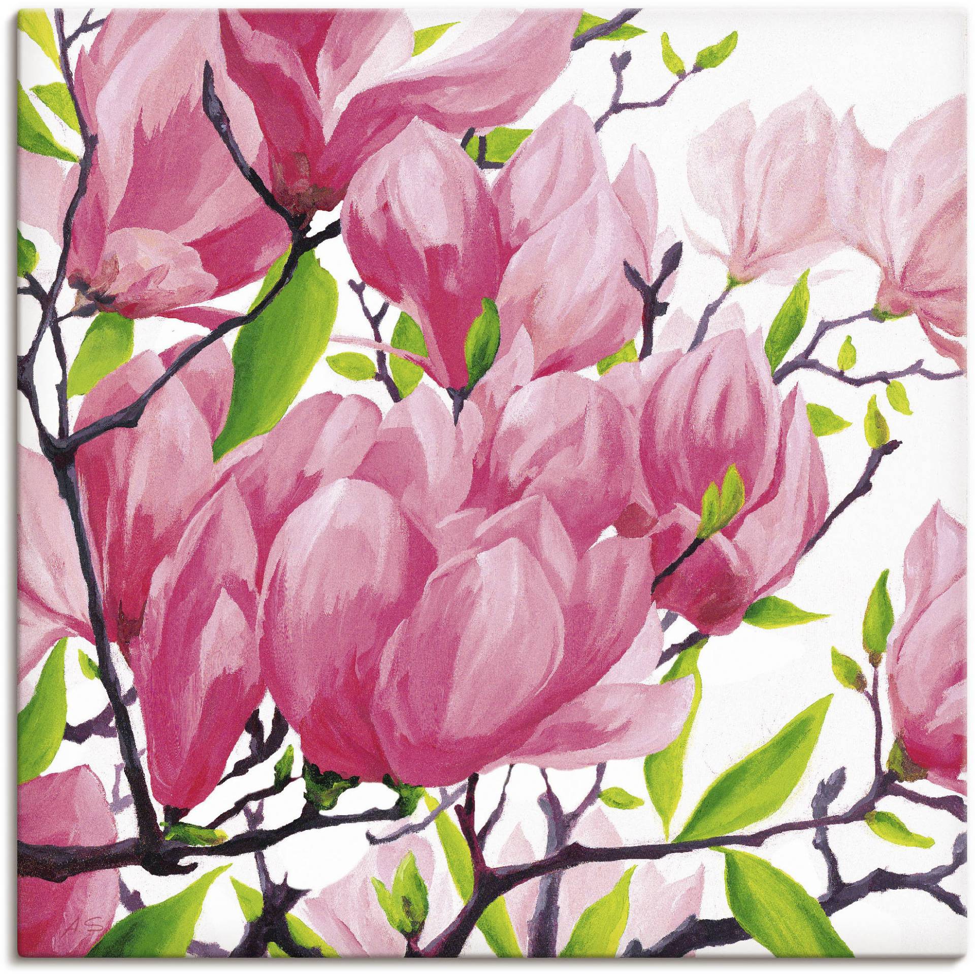 Artland Wandbild »Pinke Magnolien«, Blumen, (1 St.), als Alubild, Outdoorbild, Leinwandbild in verschied. Grössen Artland Wandbild »Pinke Magnolien«, Blumen, (1 St.), als Alubild, Outdoorbild, Leinwandbild in verschied. Grössen von Artland