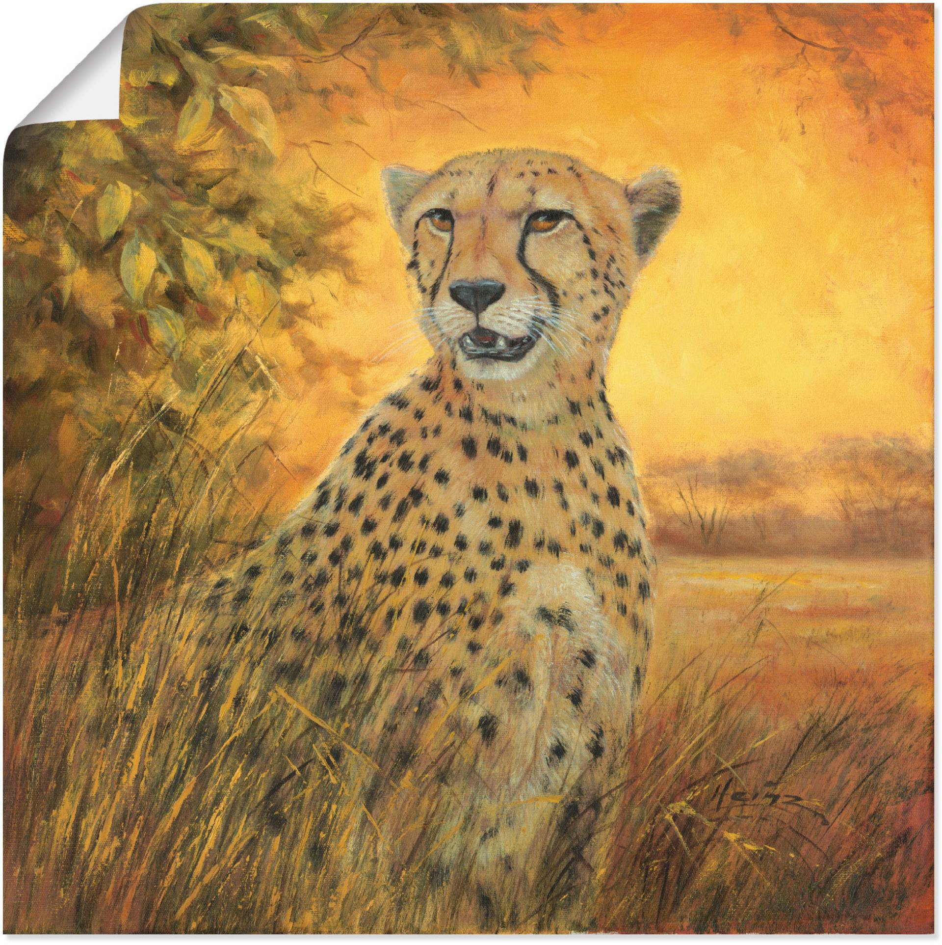 Artland Wandbild »Porträt Gepard«, Geparden Bilder, (1 St.), als Alubild, Outdoorbild, Poster in verschied. Grössen von Artland