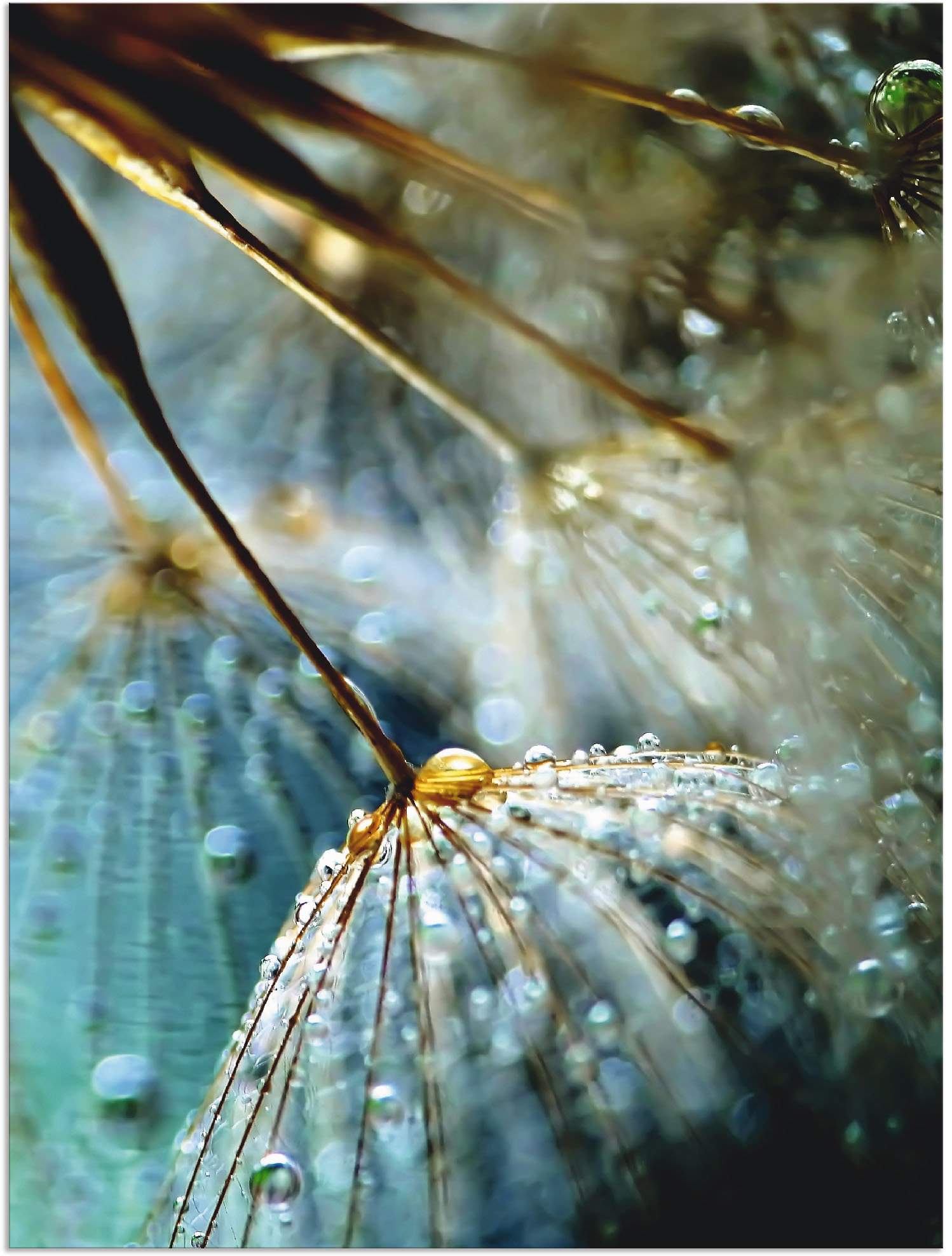 Artland Wandbild »Pusteblume Mystische Schönheit«, Blumen, (1 St.) von Artland