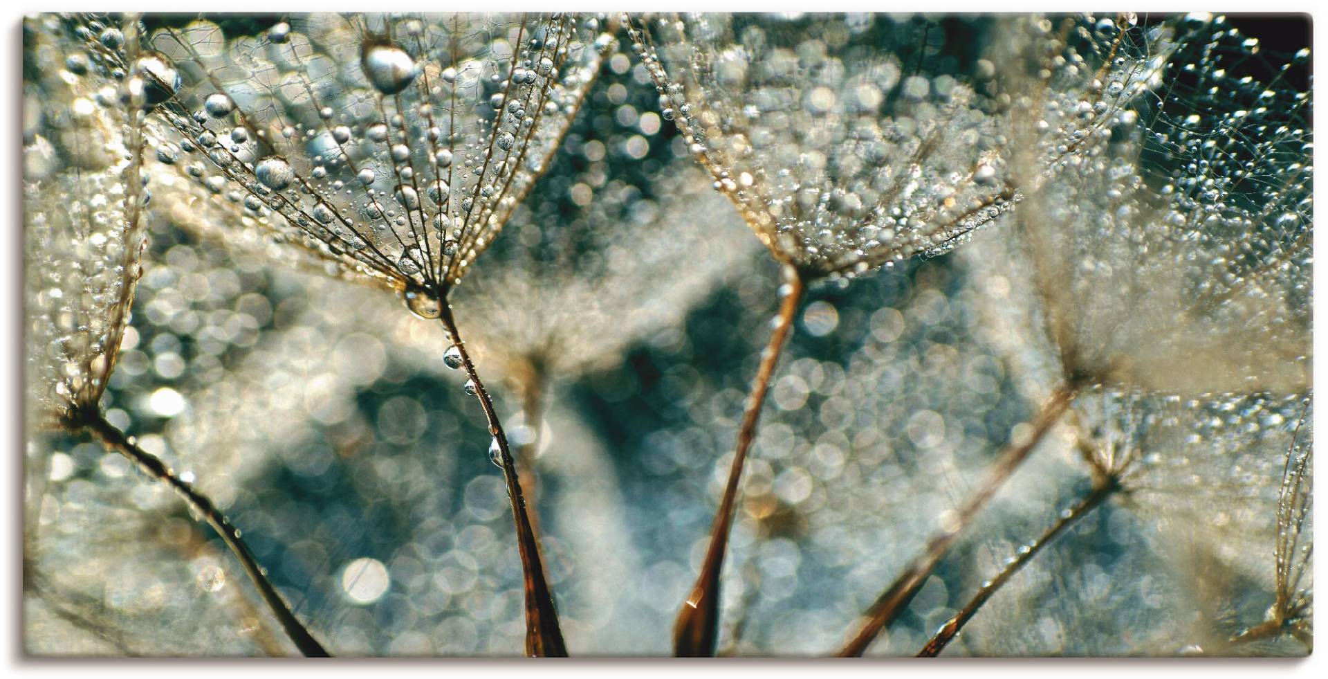 Artland Wandbild »Pusteblume Regenschauer«, Blumen, (1 St.) von Artland