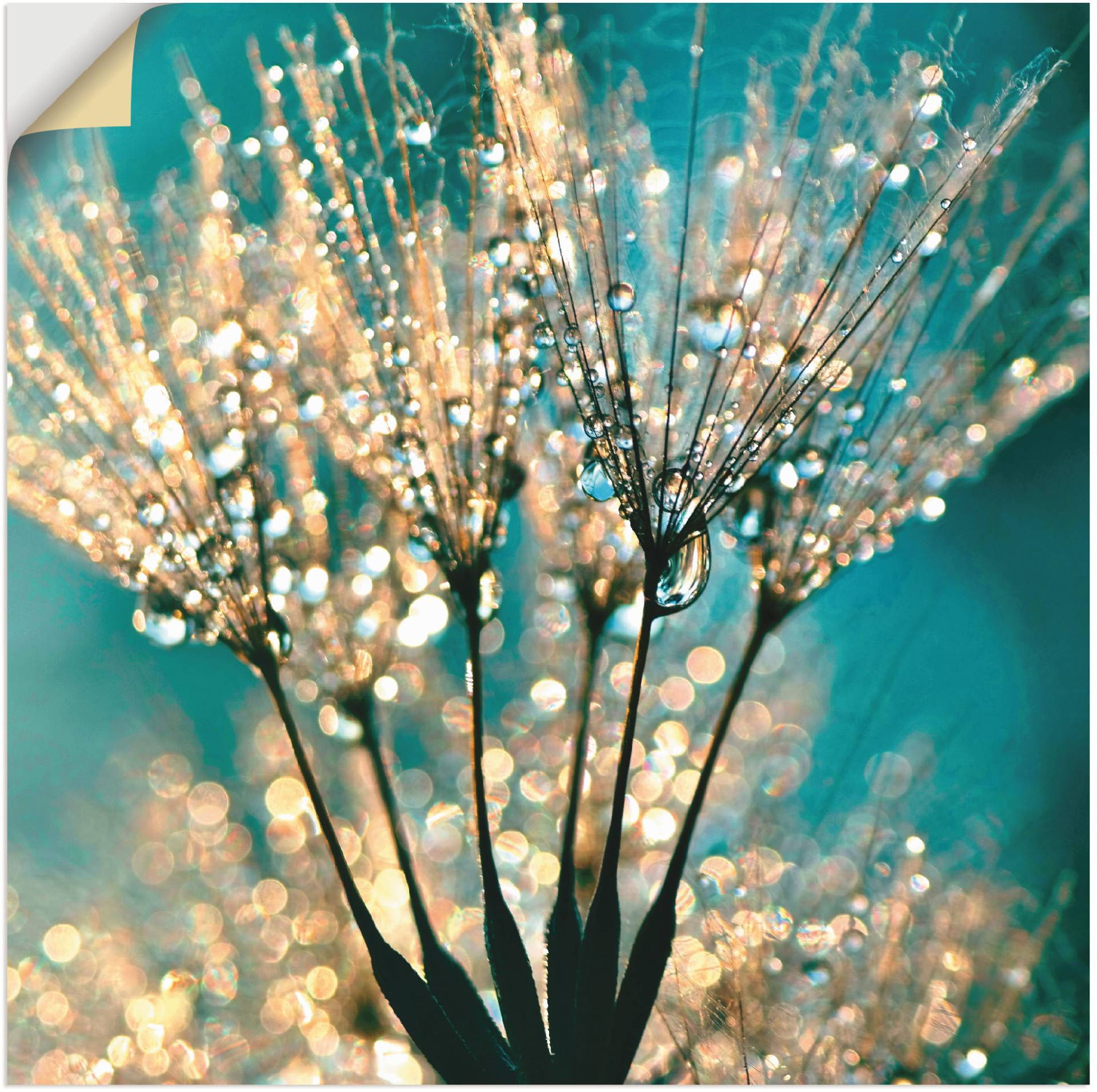 Artland Wandbild »Pusteblume Schirmchen abstrakt«, Blumen, (1 St.), als Alubild, Outdoorbild, Leinwandbild, Poster, Wandaufkleber Artland Wandbild »Pusteblume Schirmchen abstrakt«, Blumen, (1 St.), als Alubild, Outdoorbild, Leinwandbild, Poster, Wandaufkleber von Artland