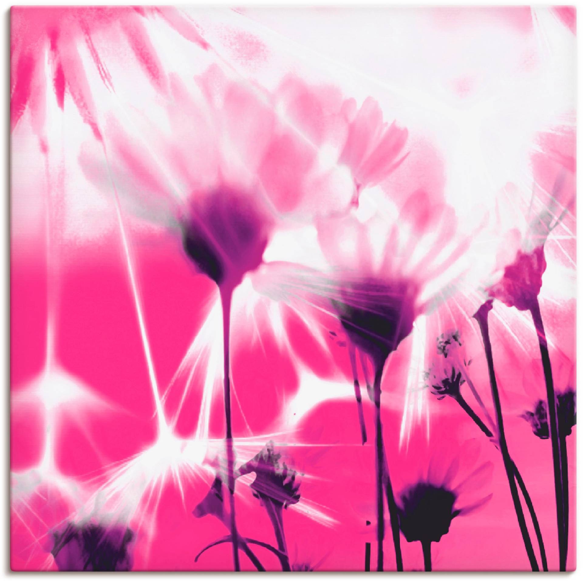 Artland Leinwandbild »Pusteblume abstrakt«, Blumen, (1 St.) von Artland