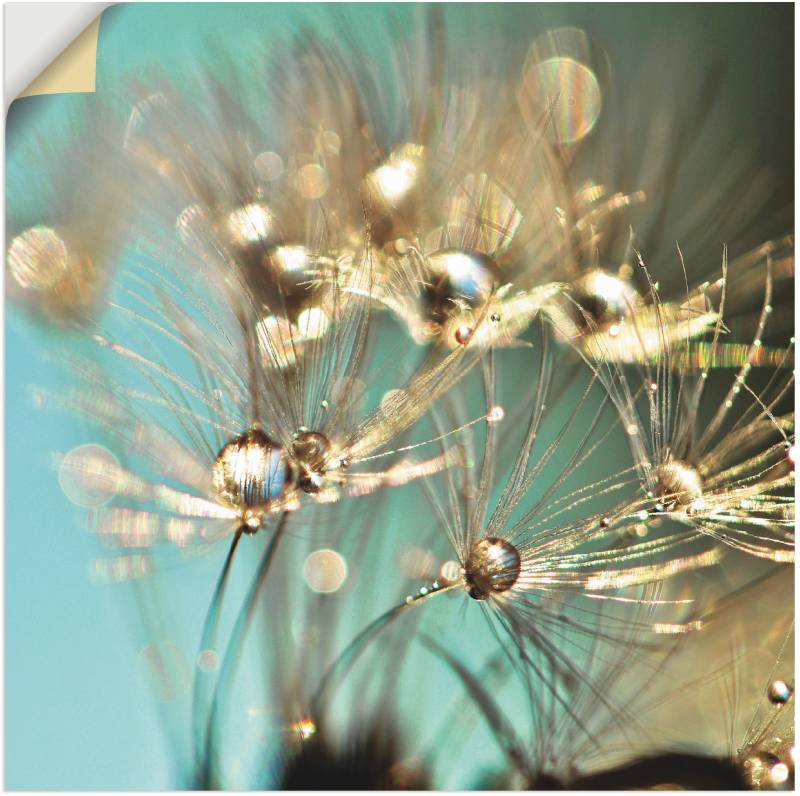 Artland Wandbild »Pusteblume glänzendes Gold«, Blumen, (1 St.), als Alubild, Outdoorbild, Leinwandbild, Poster, Wandaufkleber von Artland