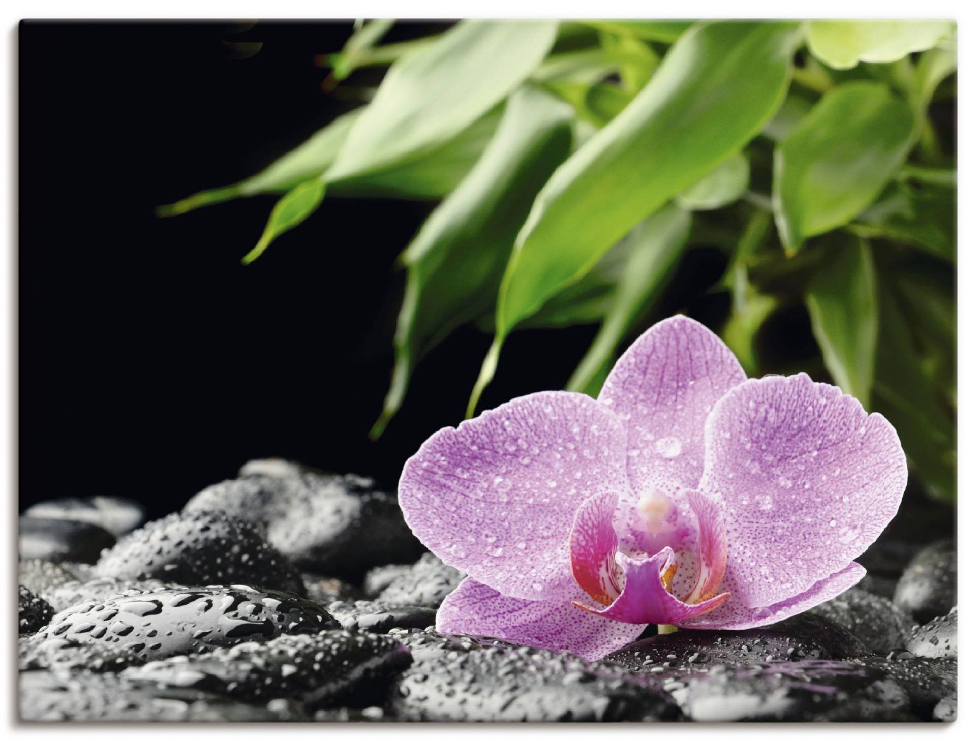 Artland Wandbild »Rosa Orchidee auf schwarzen Zen Steinen«, Blumen, (1 St.) von Artland