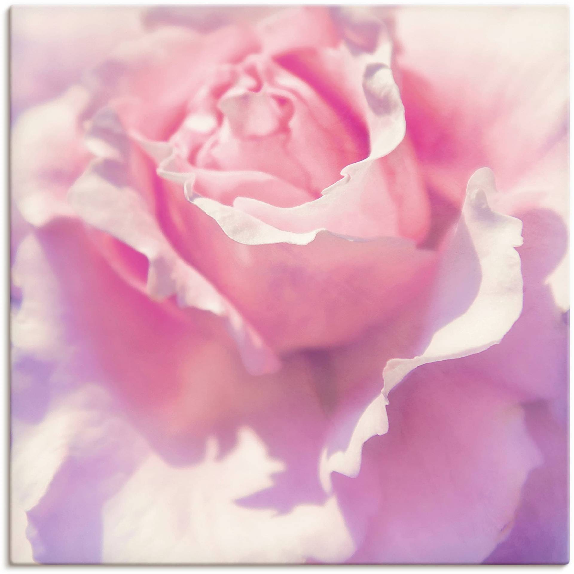 Artland Wandbild »Rosa«, Blumen, (1 St.) von Artland