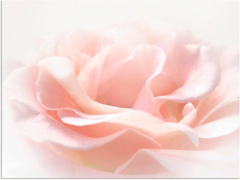 Artland Wandbild »Rose I«, Blumen, (1 St.) von Artland