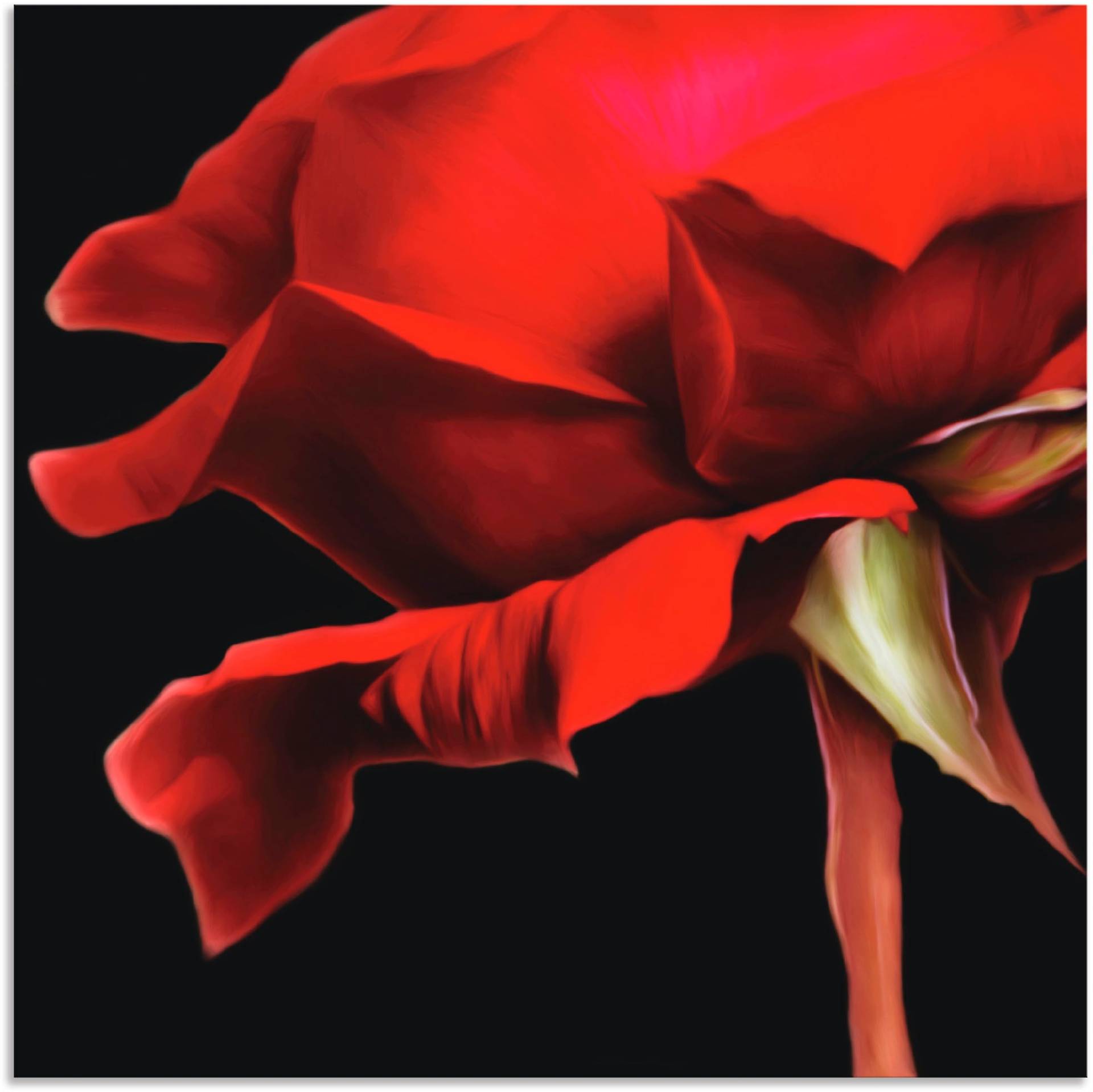 Artland Wandbild »Rose«, Blumen, (1 St.) von Artland