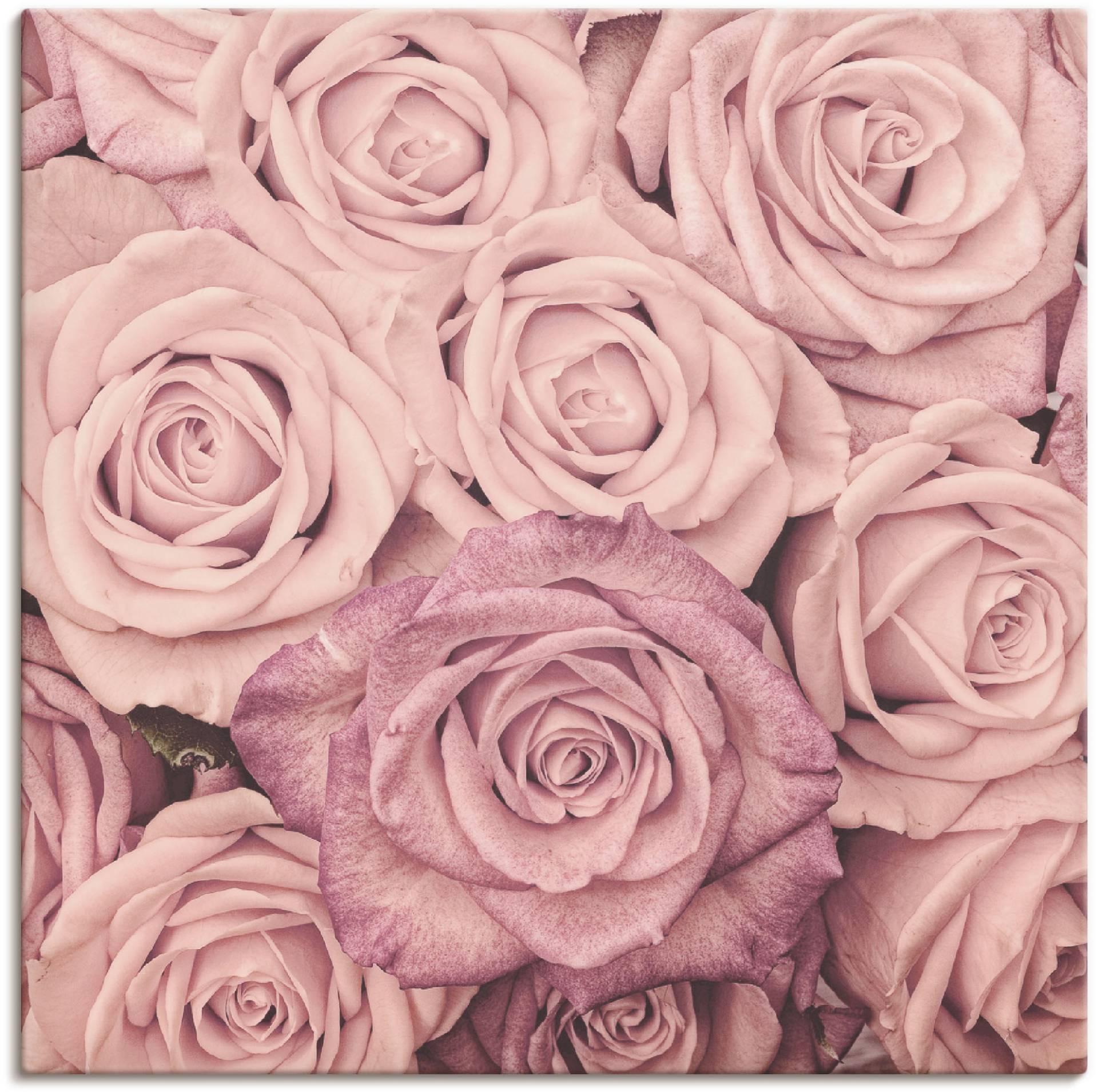 Artland Wandbild »Rosen«, Blumen, (1 St.) von Artland