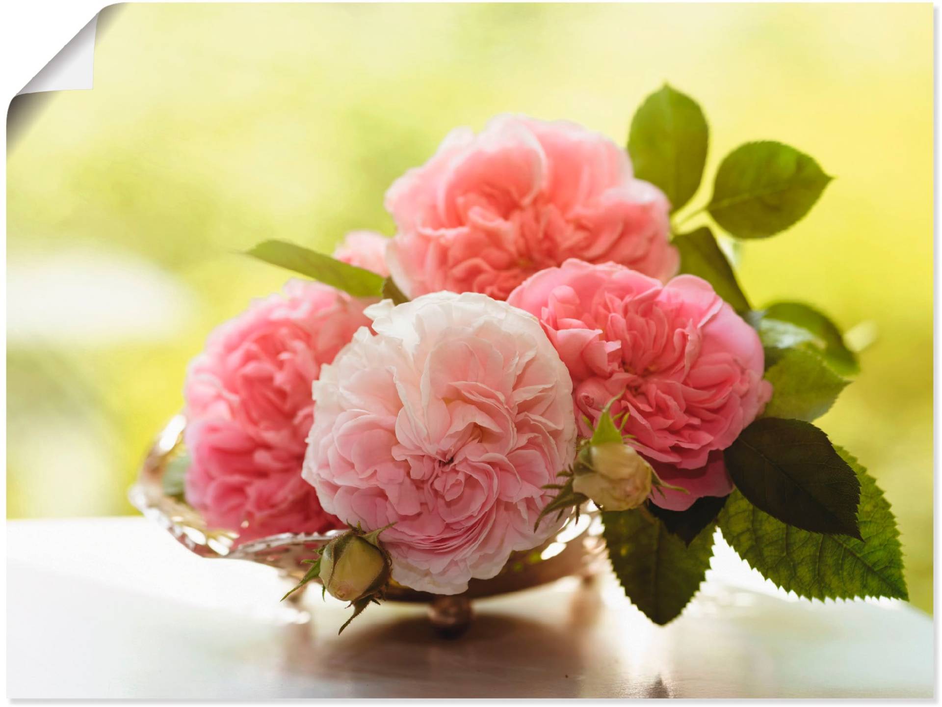 Artland Wandbild »Rosen in Silberschale Stillleben«, Blumen, (1 St.), als Leinwandbild, Poster, Wandaufkleber in verschied. Grössen Artland Wandbild »Rosen in Silberschale Stillleben«, Blumen, (1 St.), als Leinwandbild, Poster, Wandaufkleber in verschied. Grössen von Artland