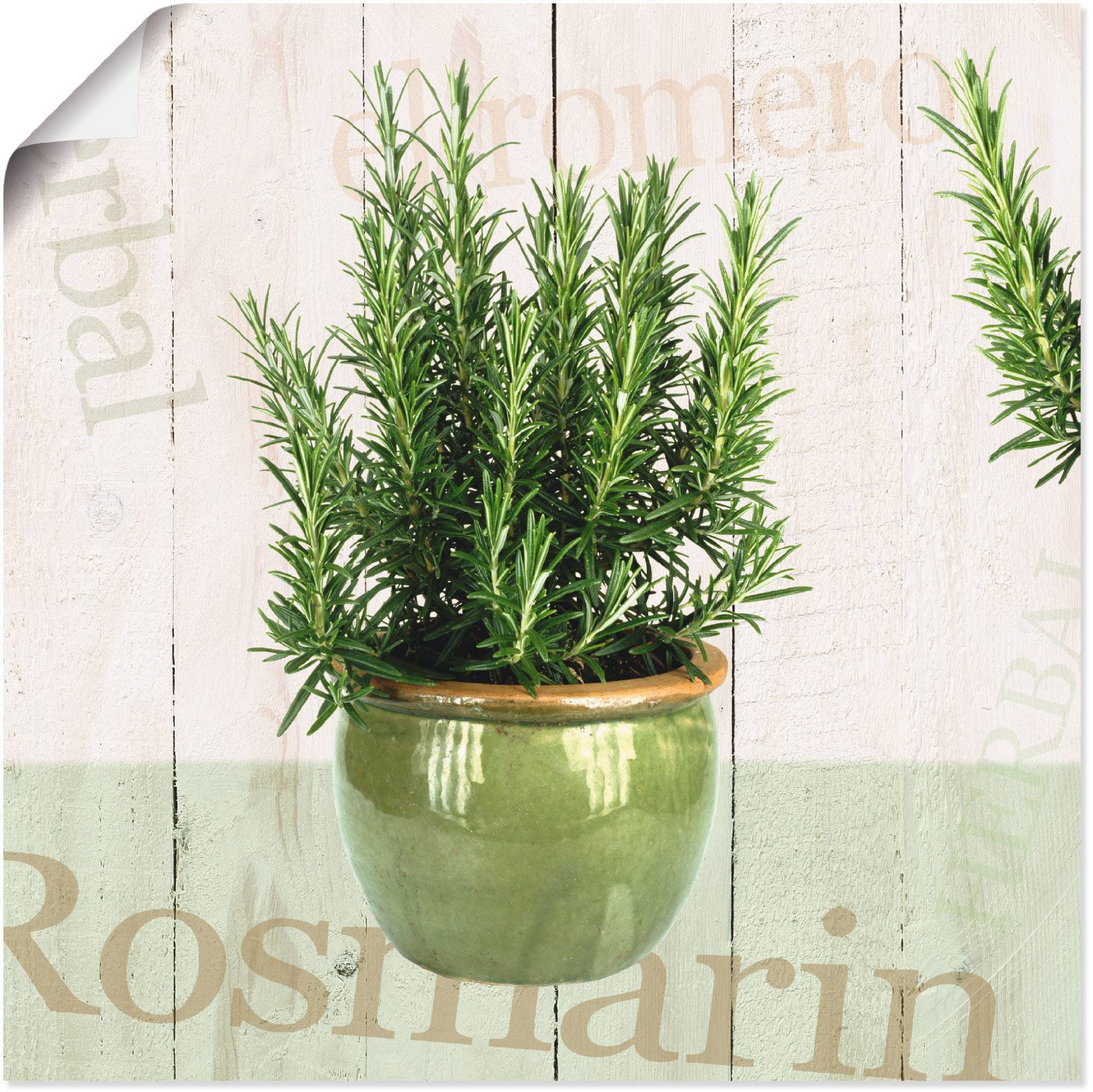 Artland Wandbild »Rosmarin«, Pflanzen, (1 St.), als Alubild, Outdoorbild, Leinwandbild, Poster in verschied. Grössen Artland Wandbild »Rosmarin«, Pflanzen, (1 St.), als Alubild, Outdoorbild, Leinwandbild, Poster in verschied. Grössen von Artland