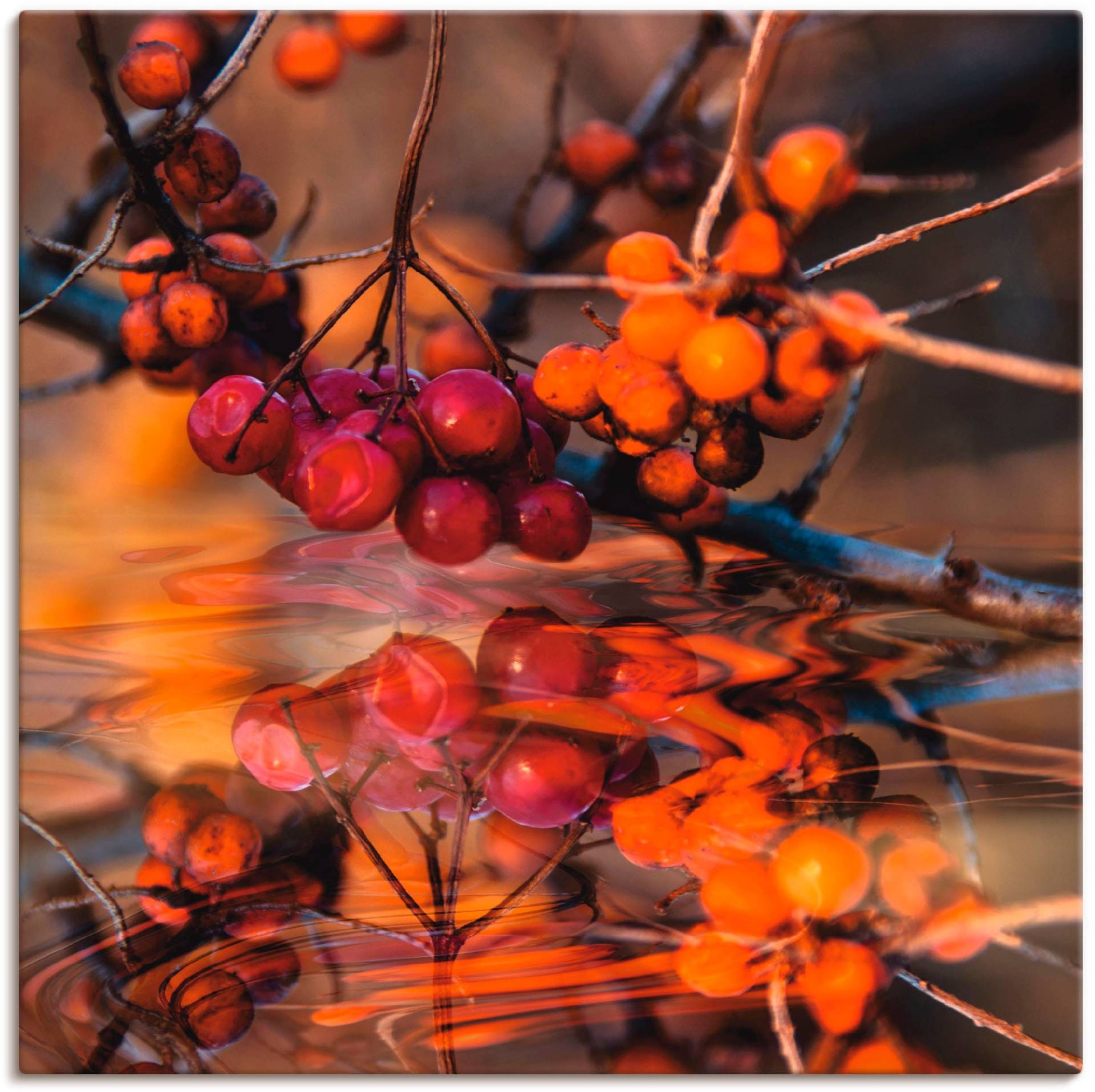 Artland Leinwandbild »Rote Beeren - Wildbeeren«, Pflanzen, (1 St.) von Artland
