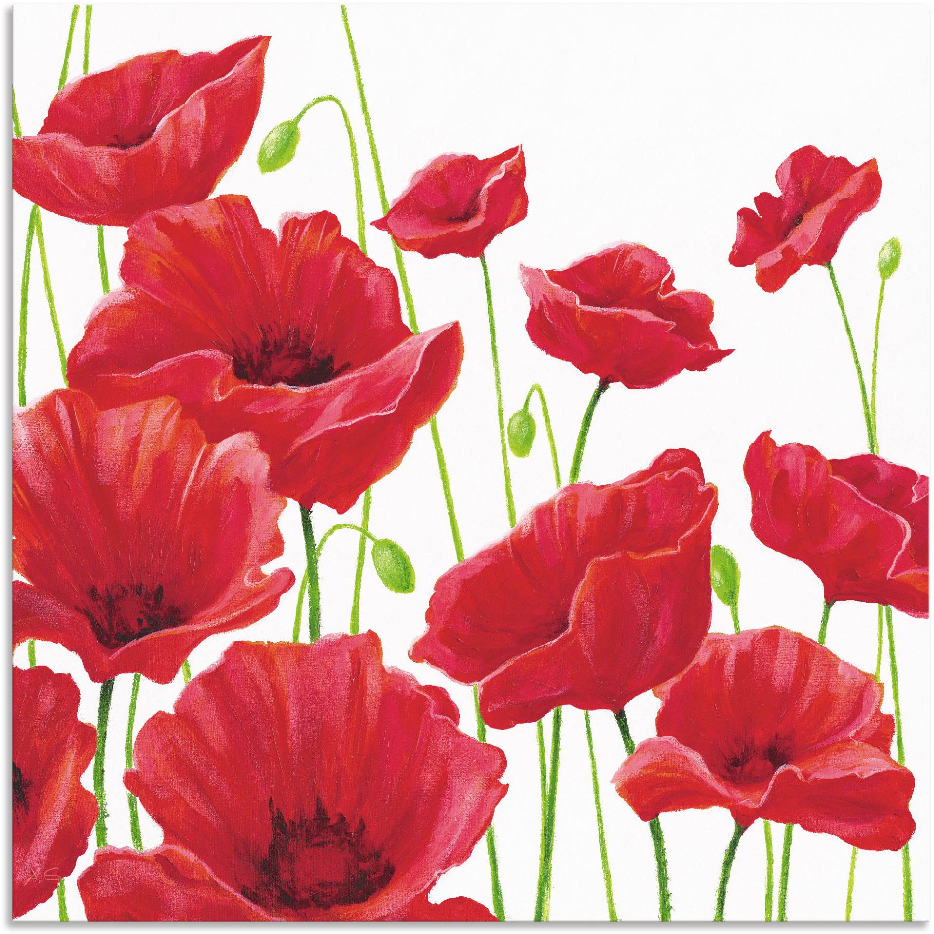 Artland Wandbild »Rote Mohnblumen I«, Blumen, (1 St.), als Alubild, Outdoorbild, Leinwandbild, Poster, Wandaufkleber Artland Wandbild »Rote Mohnblumen I«, Blumen, (1 St.), als Alubild, Outdoorbild, Leinwandbild, Poster, Wandaufkleber von Artland