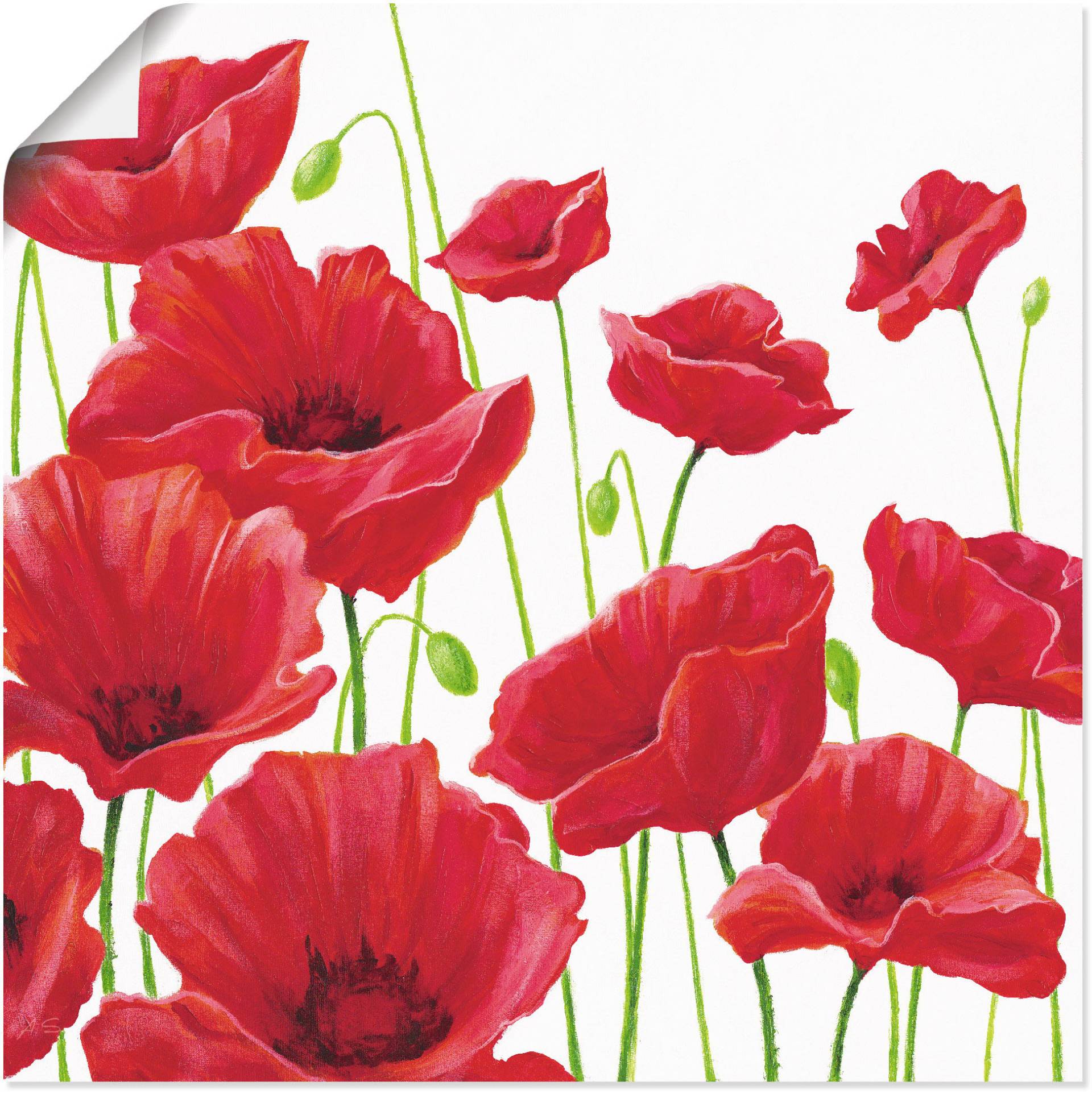 Artland Wandbild »Rote Mohnblumen I«, Blumen, (1 St.), als Alubild, Outdoorbild, Leinwandbild, Poster, Wandaufkleber Artland Wandbild »Rote Mohnblumen I«, Blumen, (1 St.), als Alubild, Outdoorbild, Leinwandbild, Poster, Wandaufkleber von Artland