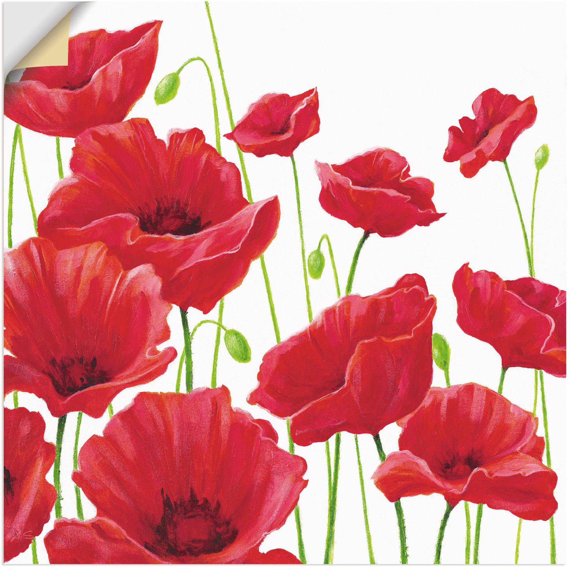 Artland Wandbild »Rote Mohnblumen I«, Blumen, (1 St.) von Artland