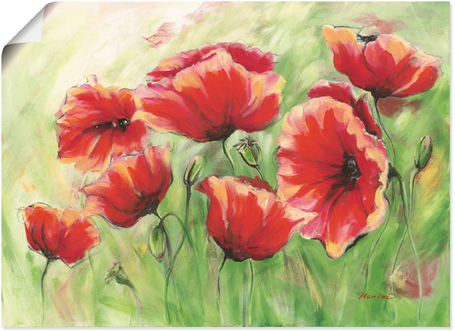 Artland Wandbild »Rote Mohnblumen II«, Blumen, (1 St.) von Artland