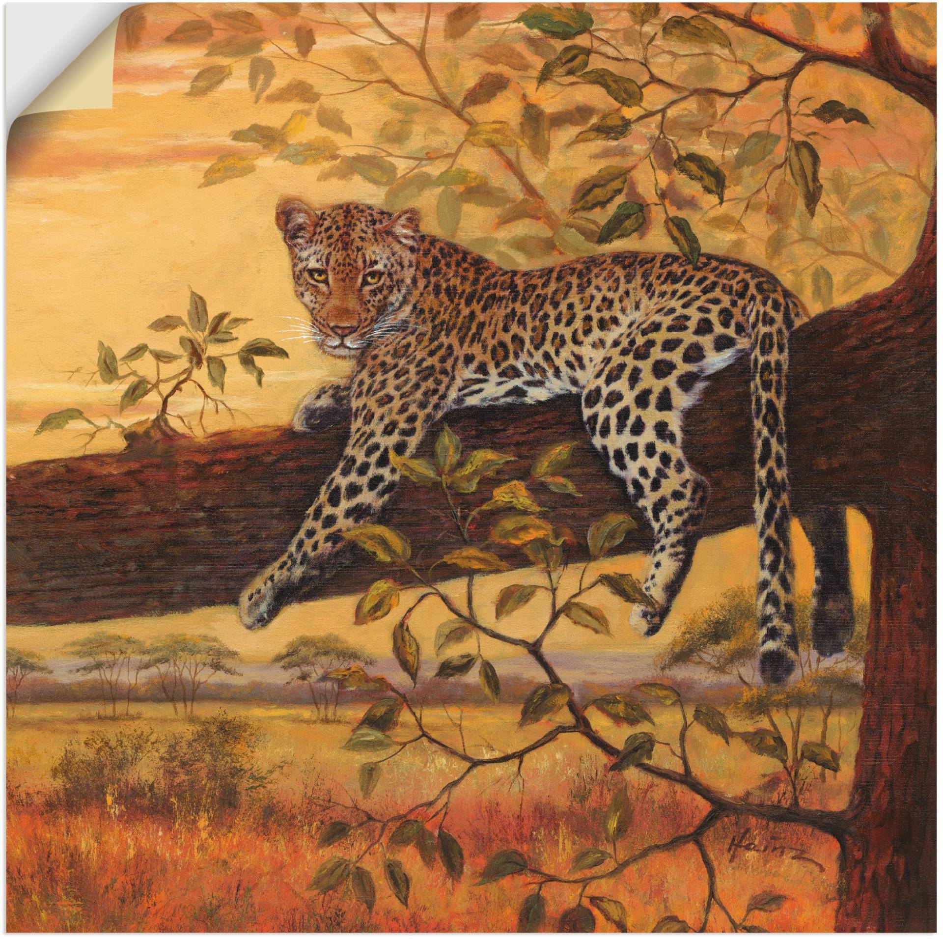 Artland Wandbild »Ruhender Leopard«, Wildtiere, (1 St.) von Artland