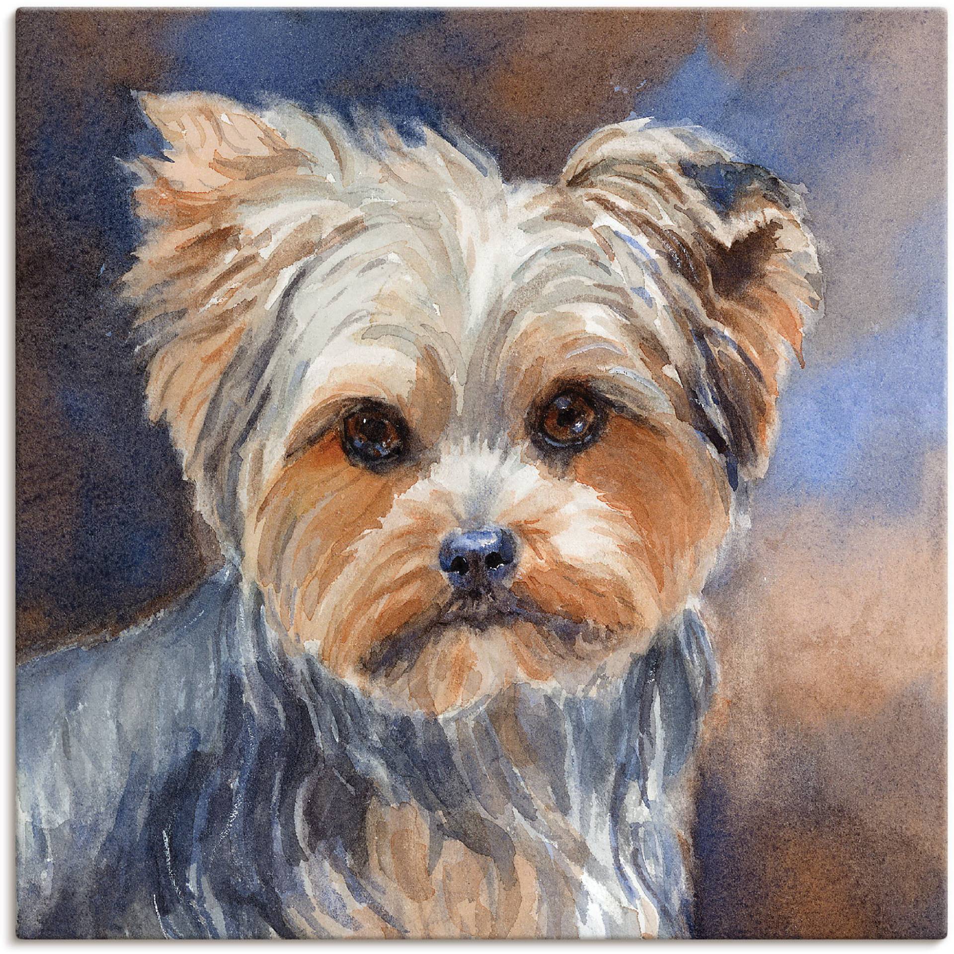 Artland Wandbild »Sadie Belle Yorkshire Terrier«, Haustiere, (1 St.), als Leinwandbild, Poster, Wandaufkleber in verschied. Grössen Artland Wandbild »Sadie Belle Yorkshire Terrier«, Haustiere, (1 St.), als Leinwandbild, Poster, Wandaufkleber in verschied. Grössen von Artland