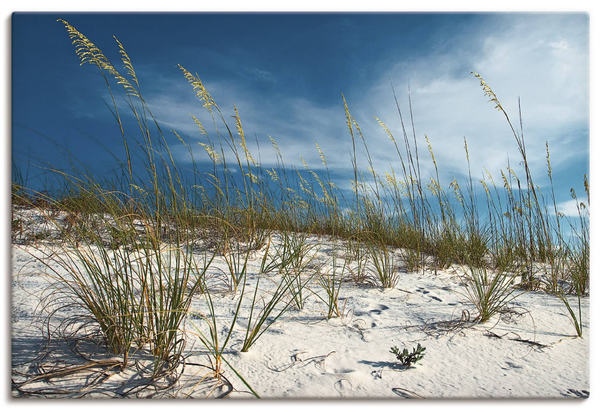 Artland Wandbild »Sanddüne und Gräser«, Strand, (1 St.) von Artland