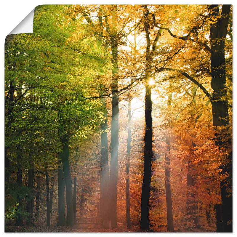 Artland Wandbild »Schöner Herbsttag 2«, Wald, (1 St.) von Artland