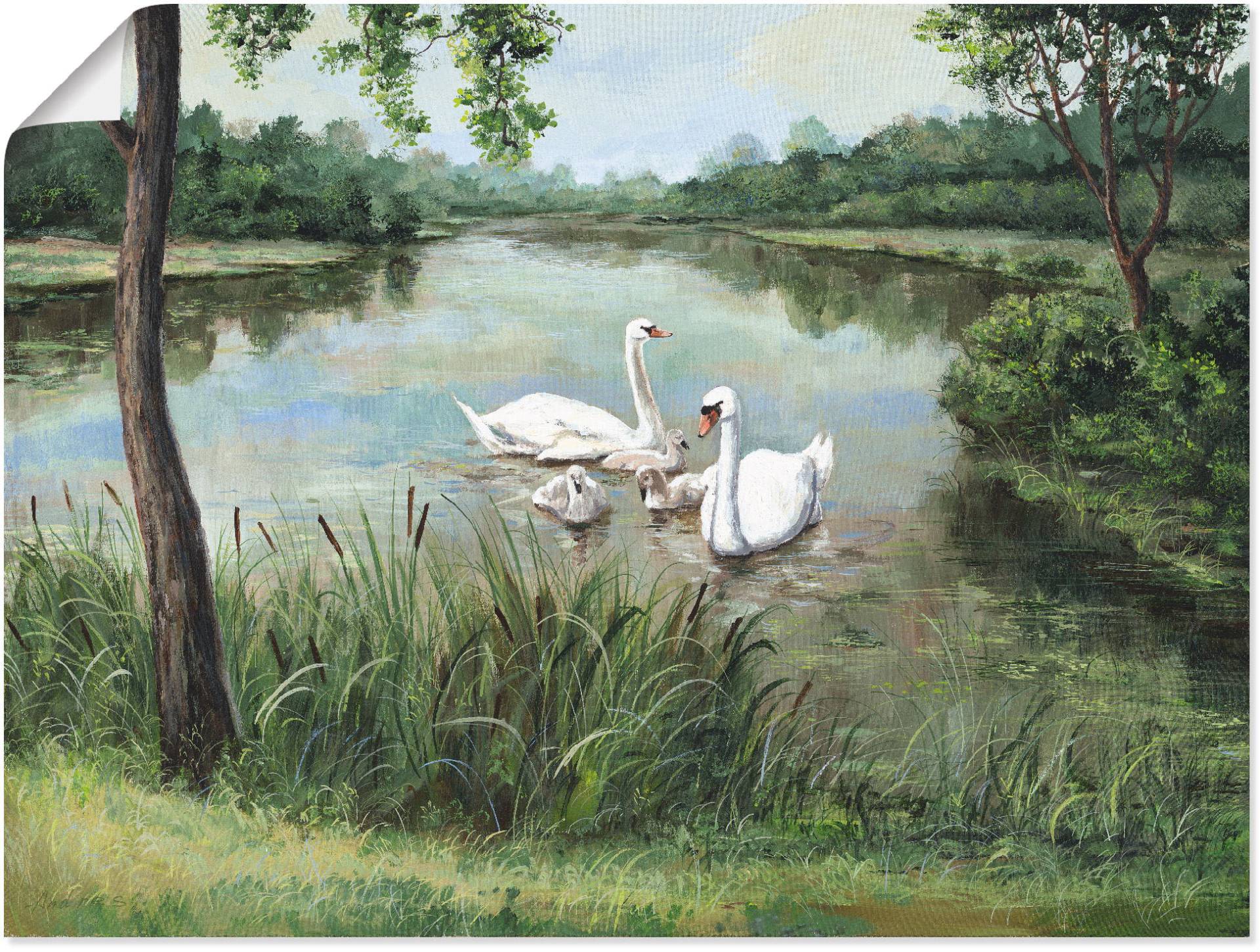 Artland Wandbild »Schwäne«, Vögel, (1 St.), als Alubild, Outdoorbild, Leinwandbild, Poster in verschied. Grössen Artland Wandbild »Schwäne«, Vögel, (1 St.), als Alubild, Outdoorbild, Leinwandbild, Poster in verschied. Grössen von Artland