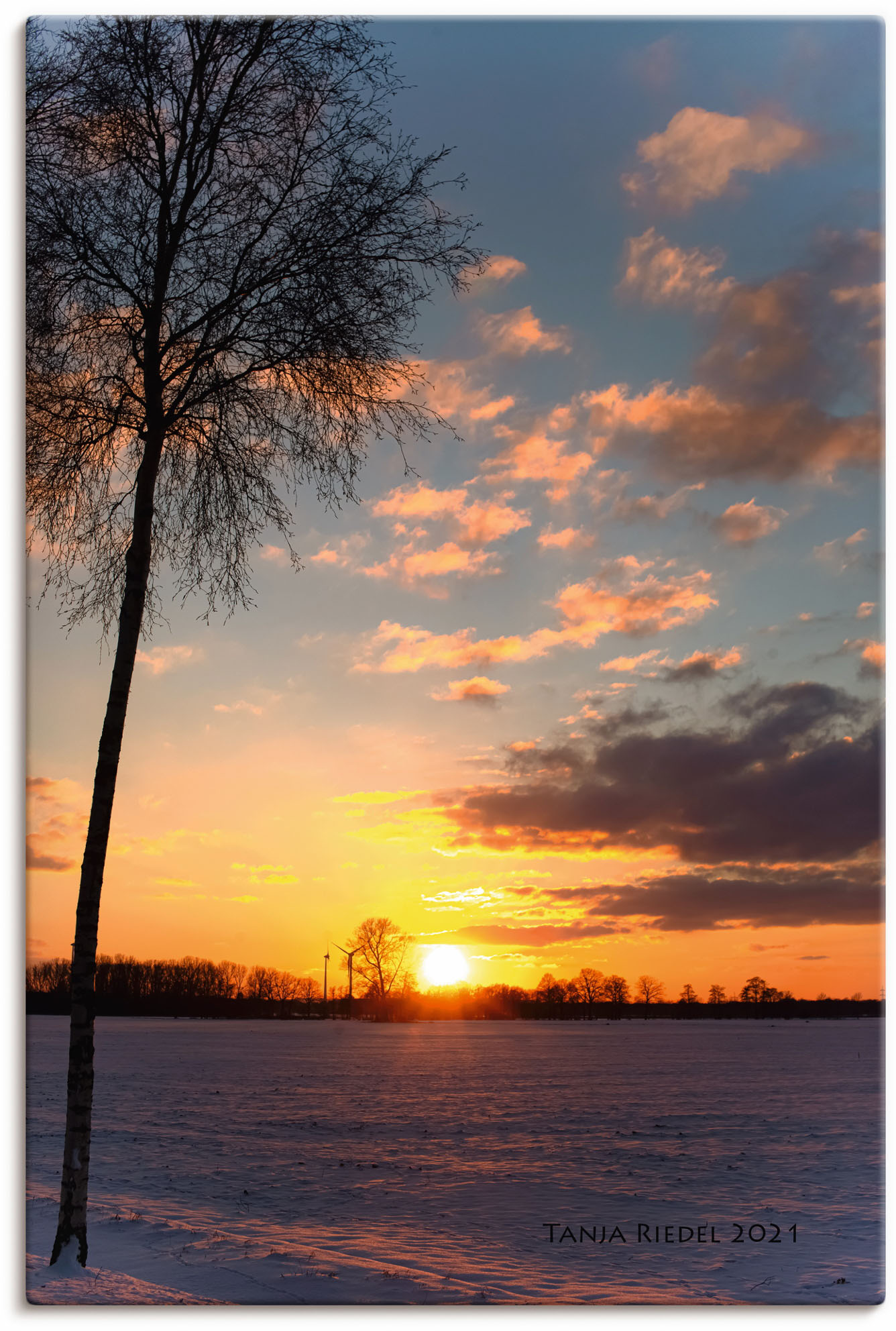 Artland Wandbild »Sehnsucht Momente der Natur«, Bilder vom Sonnenuntergang & -aufgang, (1 St.), in vielen Grössen & Produktarten, Alubild, Leinwandbild, Poster, Wandaufkleber von Artland