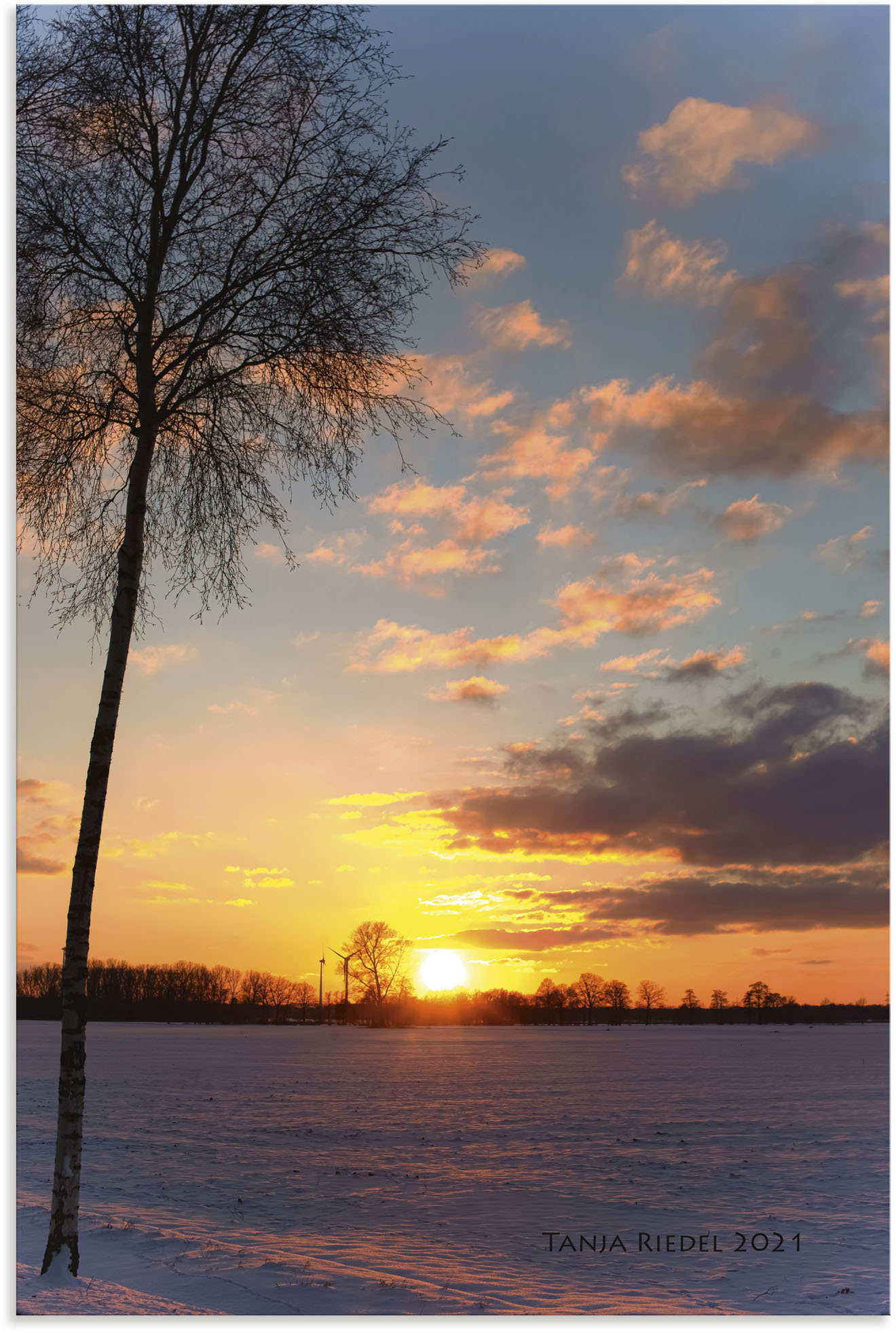 Artland Wandbild »Sehnsucht Momente der Natur«, Bilder vom Sonnenuntergang & -aufgang, (1 St.), in vielen Grössen & Produktarten, Alubild, Leinwandbild, Poster, Wandaufkleber von Artland