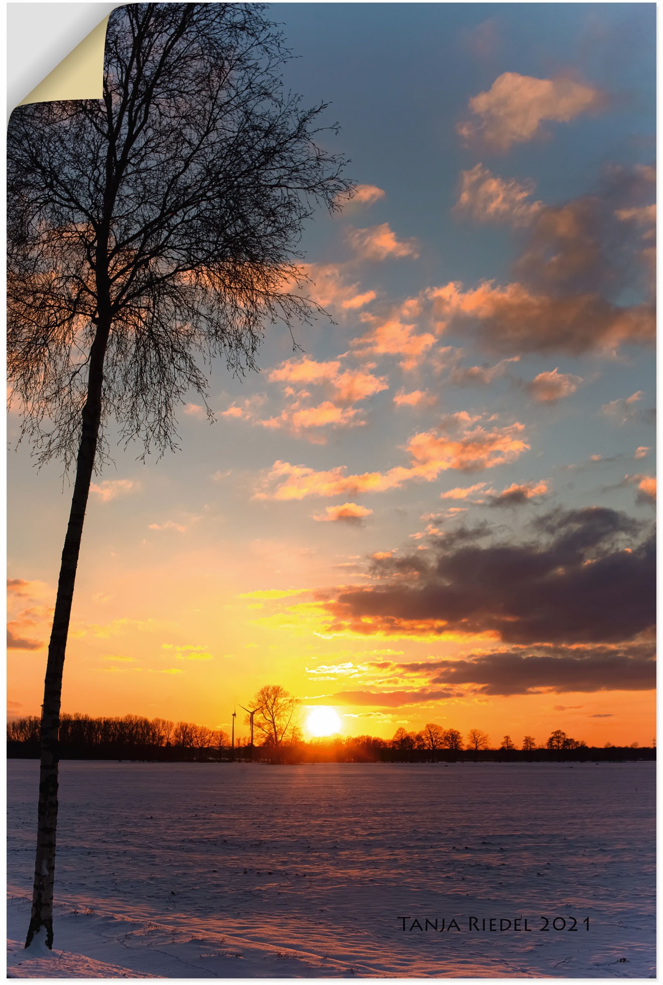 Artland Wandbild »Sehnsucht Momente der Natur«, Bilder vom Sonnenuntergang & -aufgang, (1 St.), in vielen Grössen & Produktarten, Alubild, Leinwandbild, Poster, Wandaufkleber von Artland
