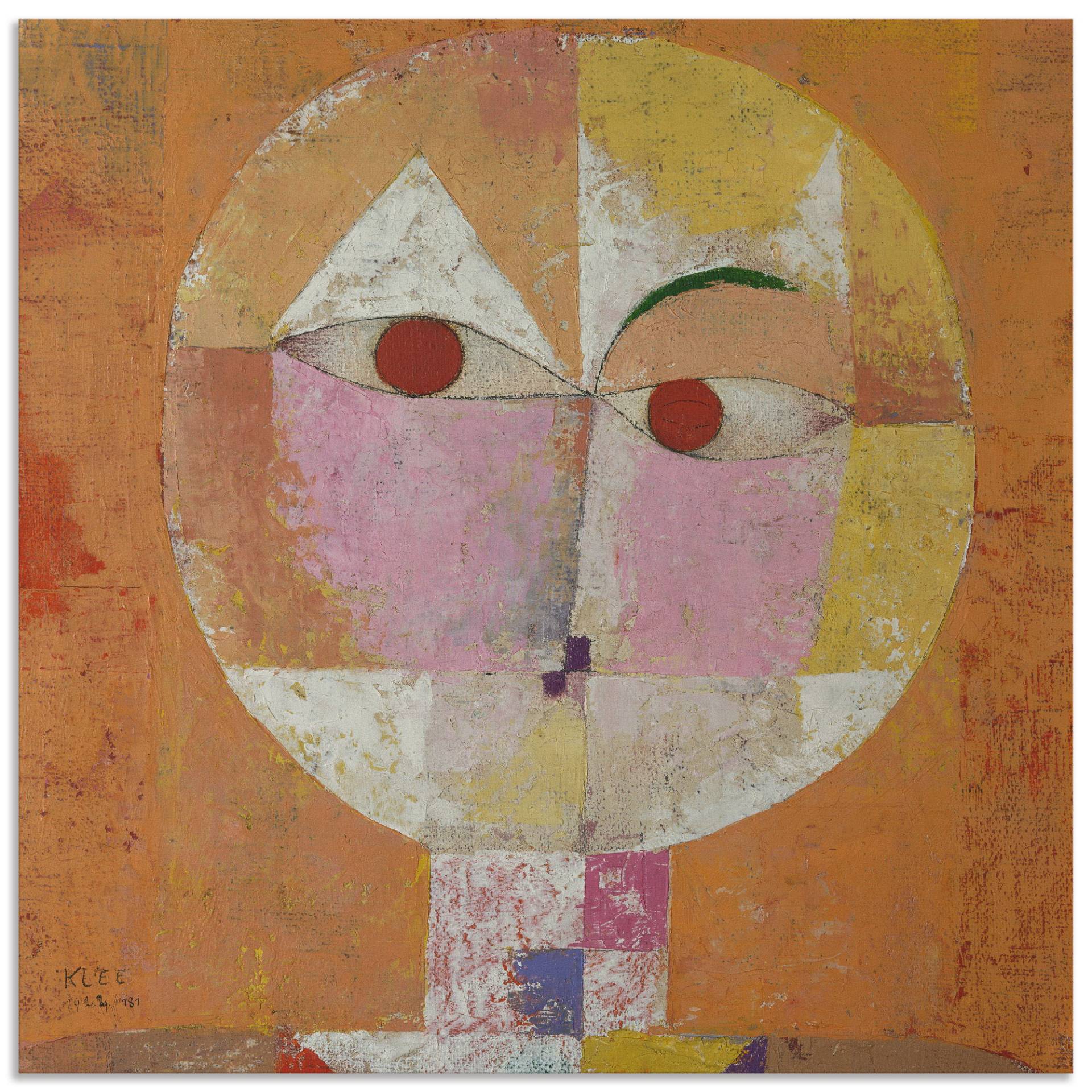 Artland Wandbild »Senecio«, Muster, (1 St.), als Alubild, Outdoorbild, Leinwandbild, Poster in verschied. Grössen Artland Wandbild »Senecio«, Muster, (1 St.), als Alubild, Outdoorbild, Leinwandbild, Poster in verschied. Grössen von Artland