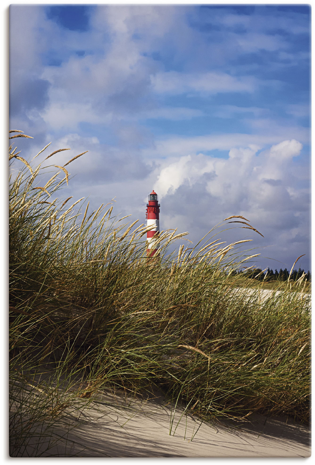 Artland Wandbild »Sommerimpression Amrumer Leuchtturm«, Gebäude, (1 St.) von Artland