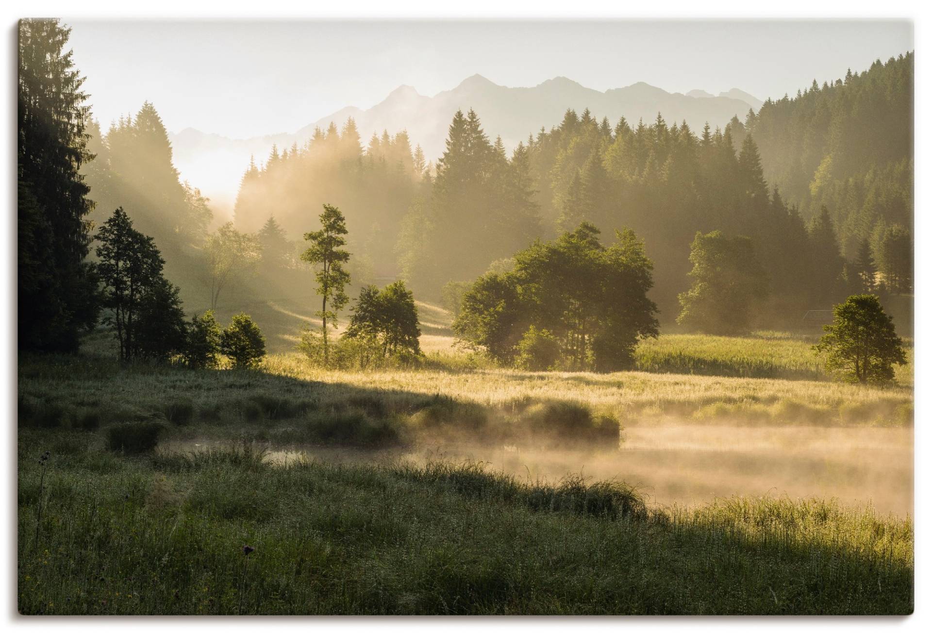 Artland Wandbild »Sommermorgen in den Alpen«, Wiesen & Bäume, (1 St.) von Artland