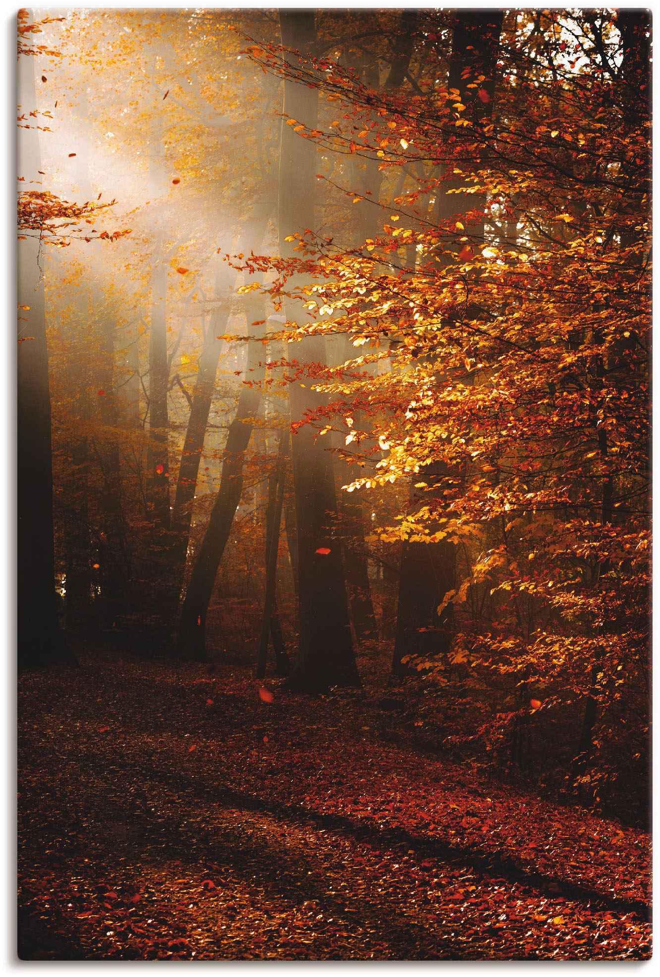 Artland Wandbild »Sonnenaufgang im Herbst«, Wald, (1 St.) von Artland