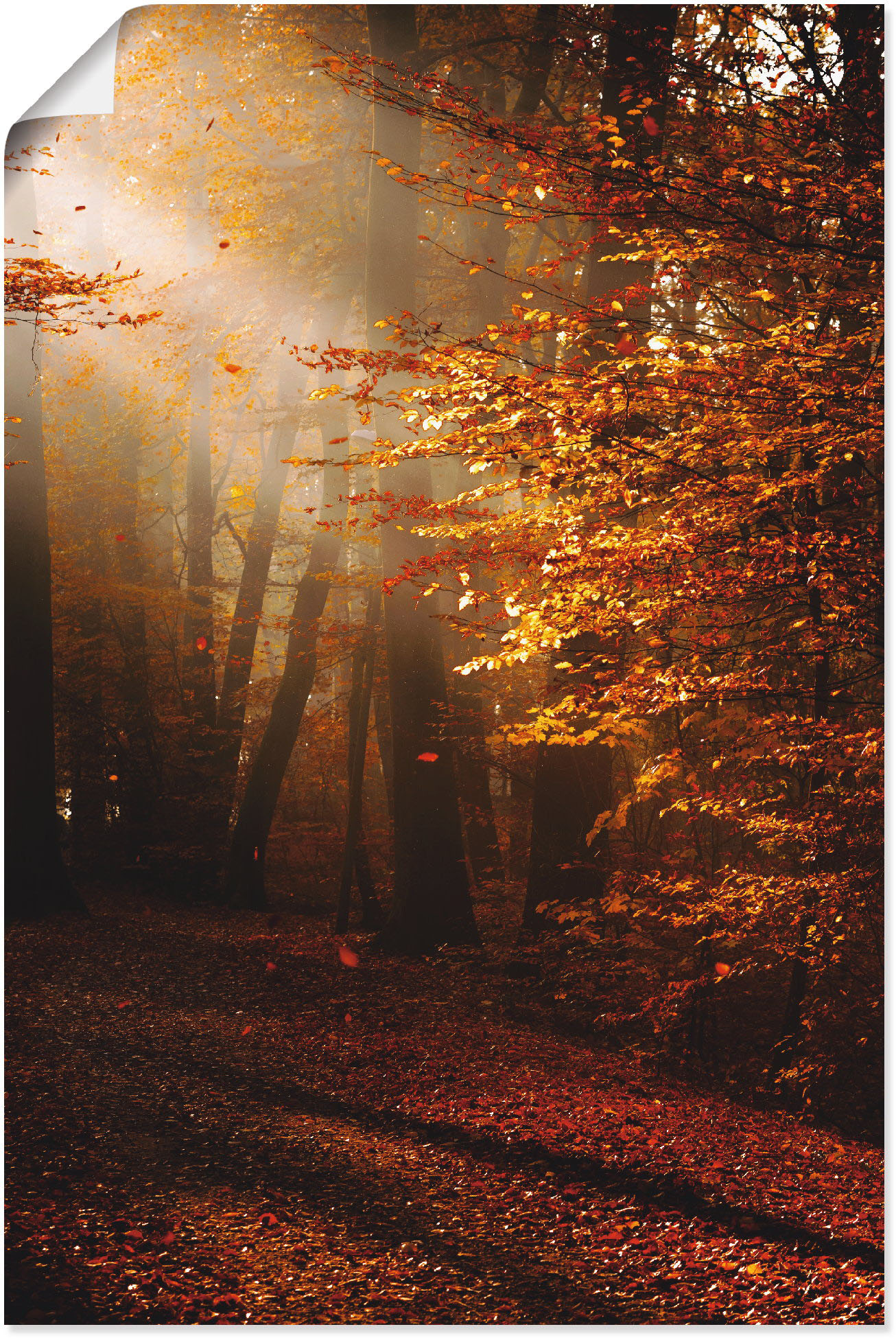 Artland Wandbild »Sonnenaufgang im Herbst«, Wald, (1 St.) von Artland