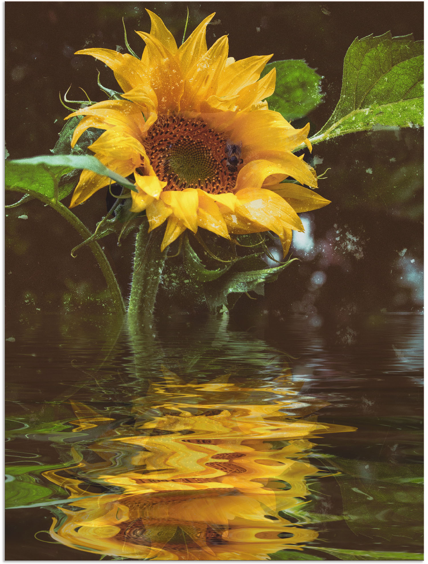 Artland Wandbild »Sonnenblume«, Blumen, (1 St.) von Artland