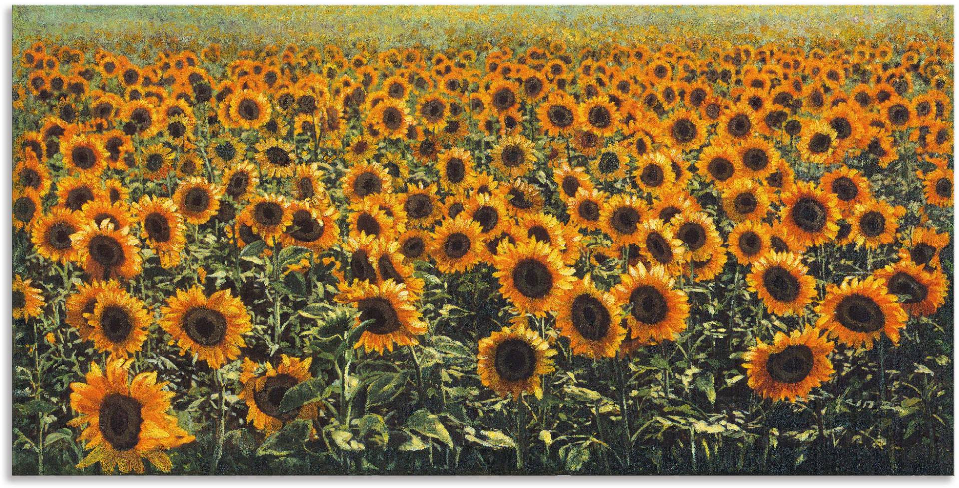 Artland Wandbild »Sonnenblumenfeld«, Blumenwiese, (1 St.), als Alubild, Outdoorbild in verschied. Grössen von Artland