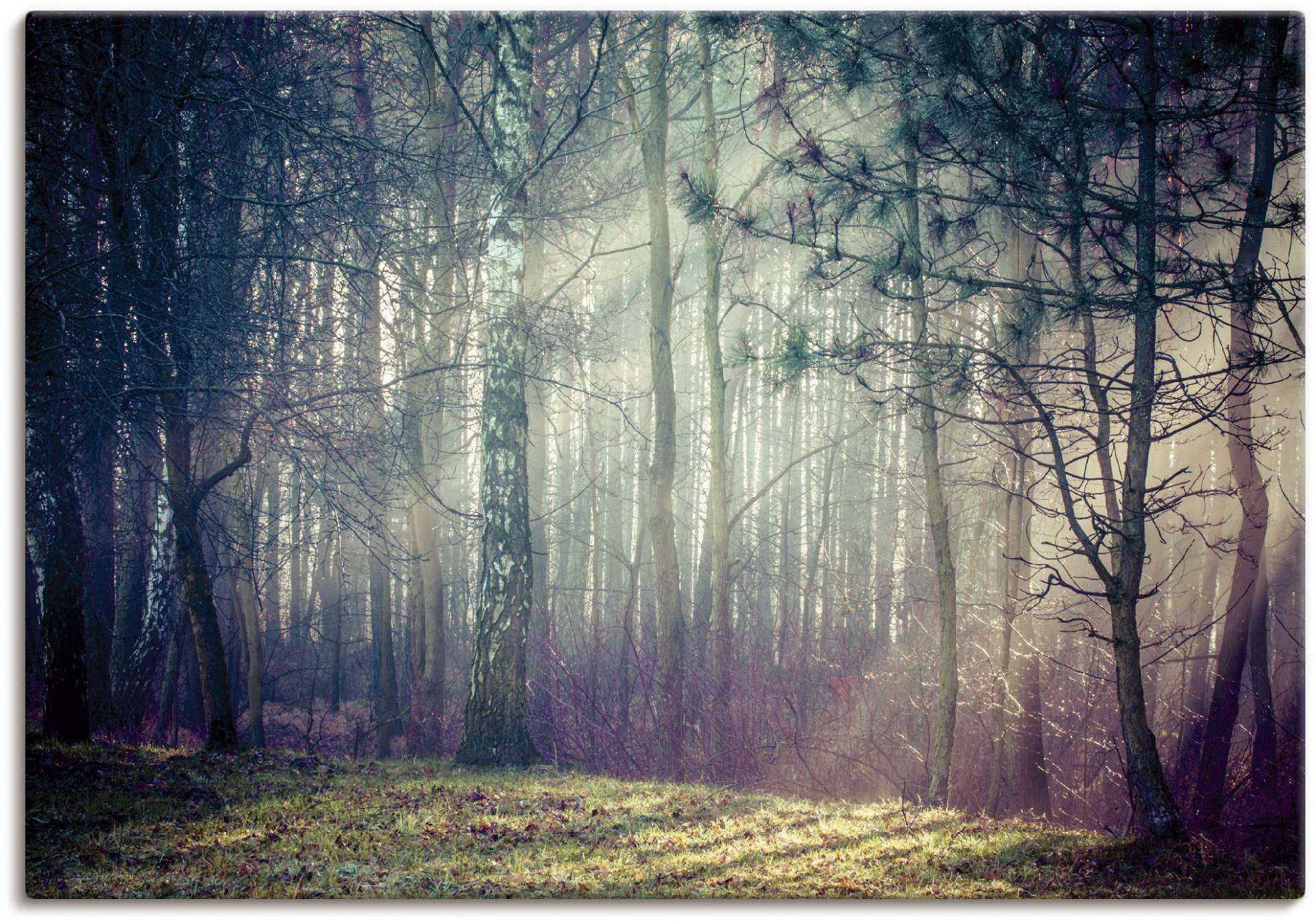 Artland Wandbild »Sonnenstrahlen im Wald«, Waldbilder, (1 St.) von Artland