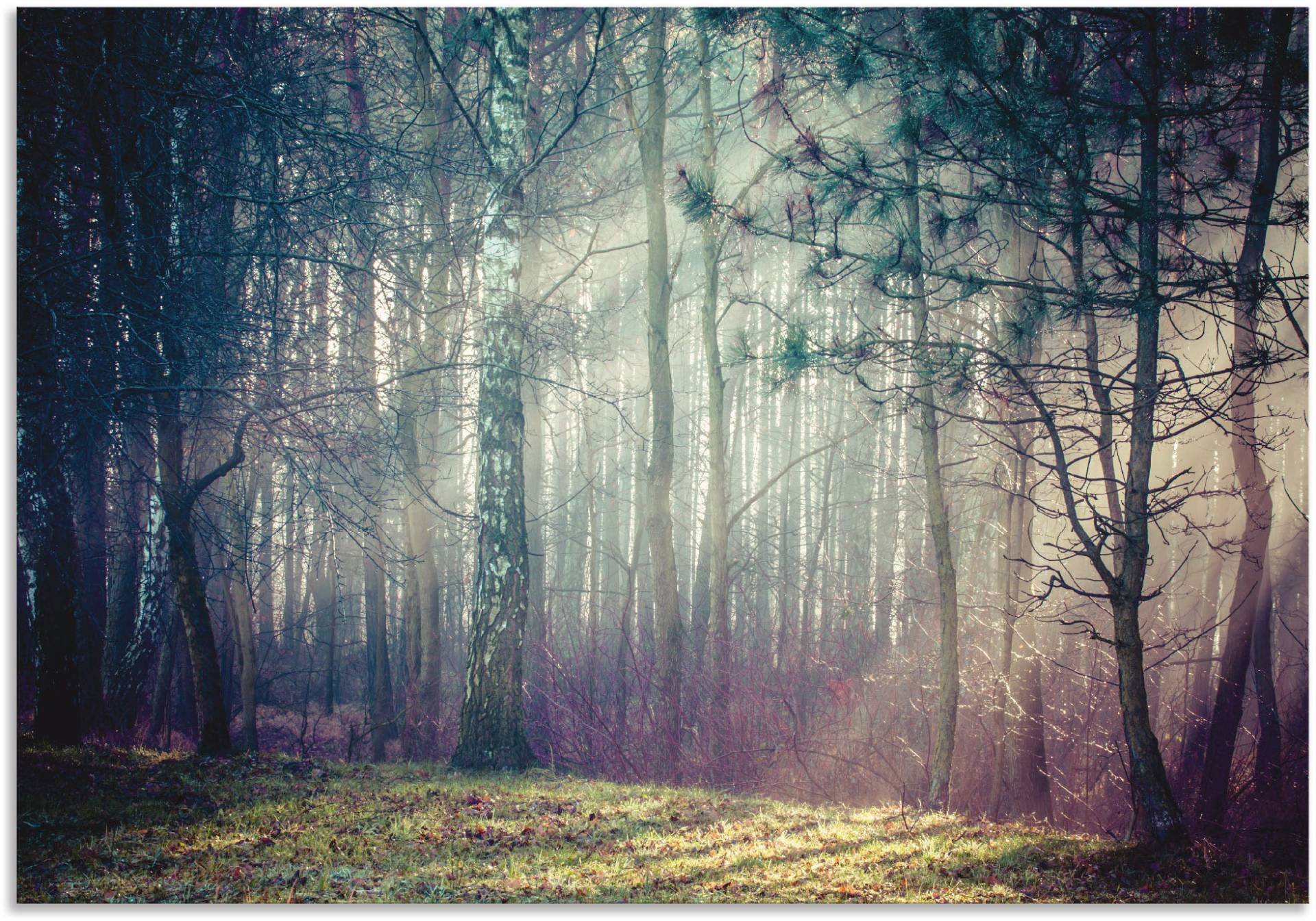 Artland Wandbild »Sonnenstrahlen im Wald«, Waldbilder, (1 St.) von Artland